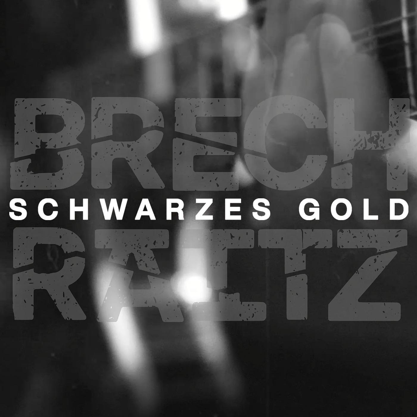 Постер альбома Schwarzes Gold