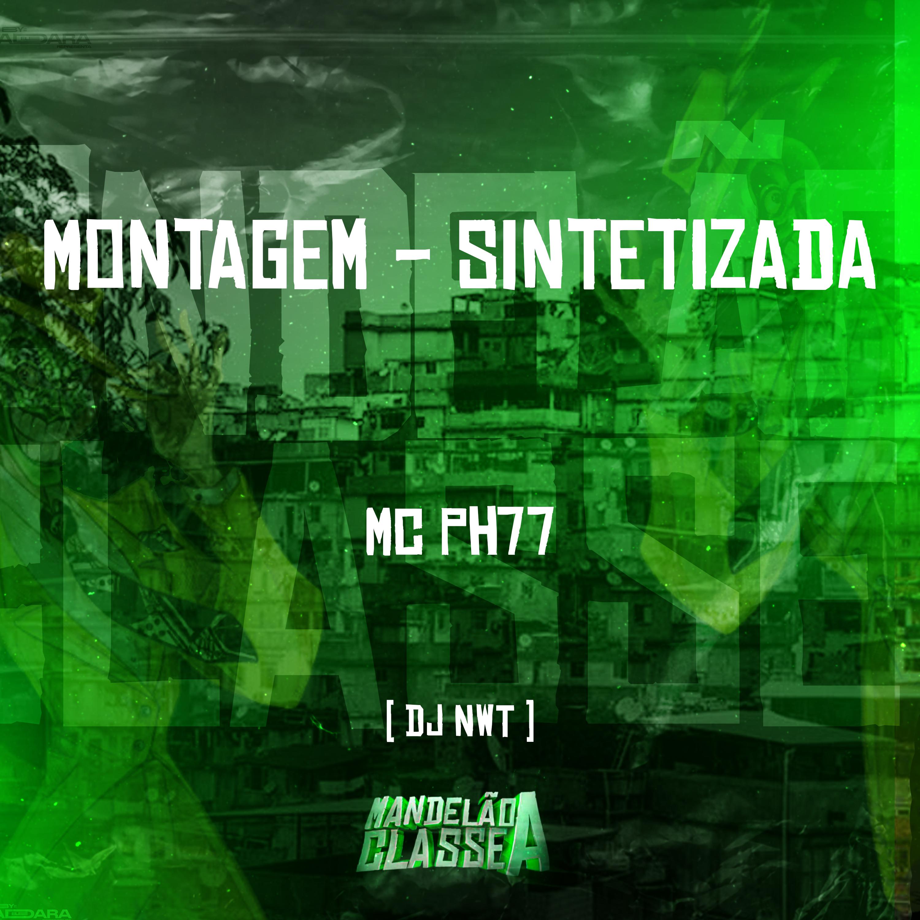 Постер альбома Montagem - Sintetizada