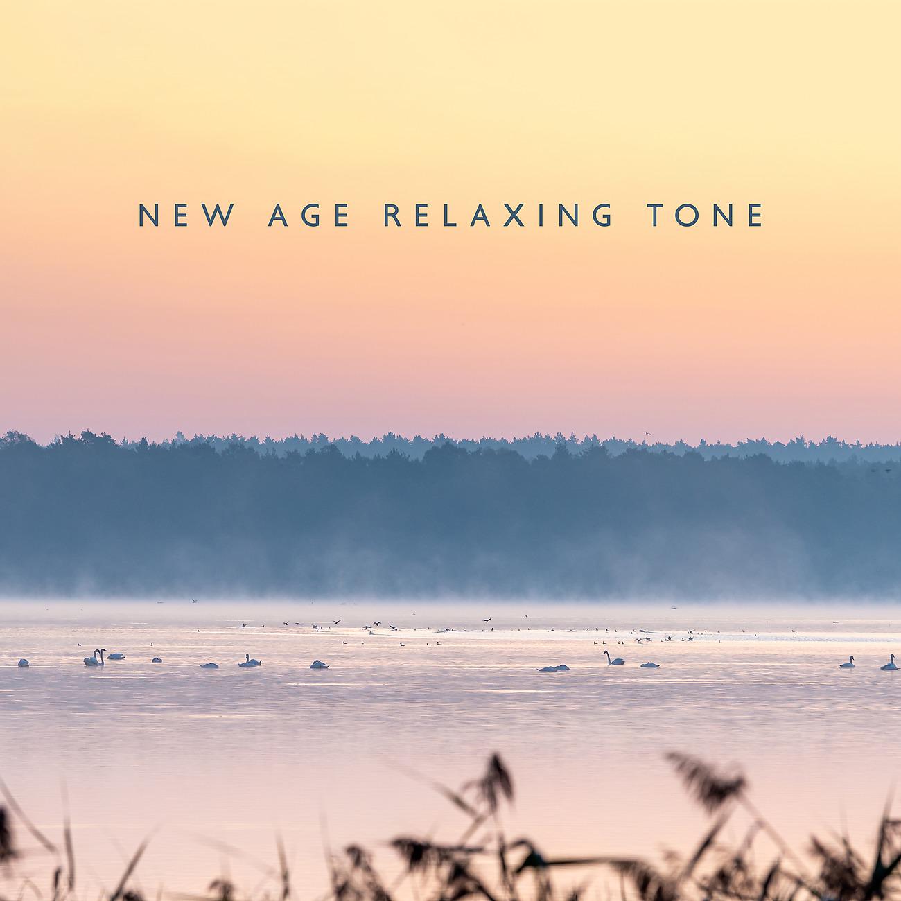 Постер альбома New Age Relaxing Tone