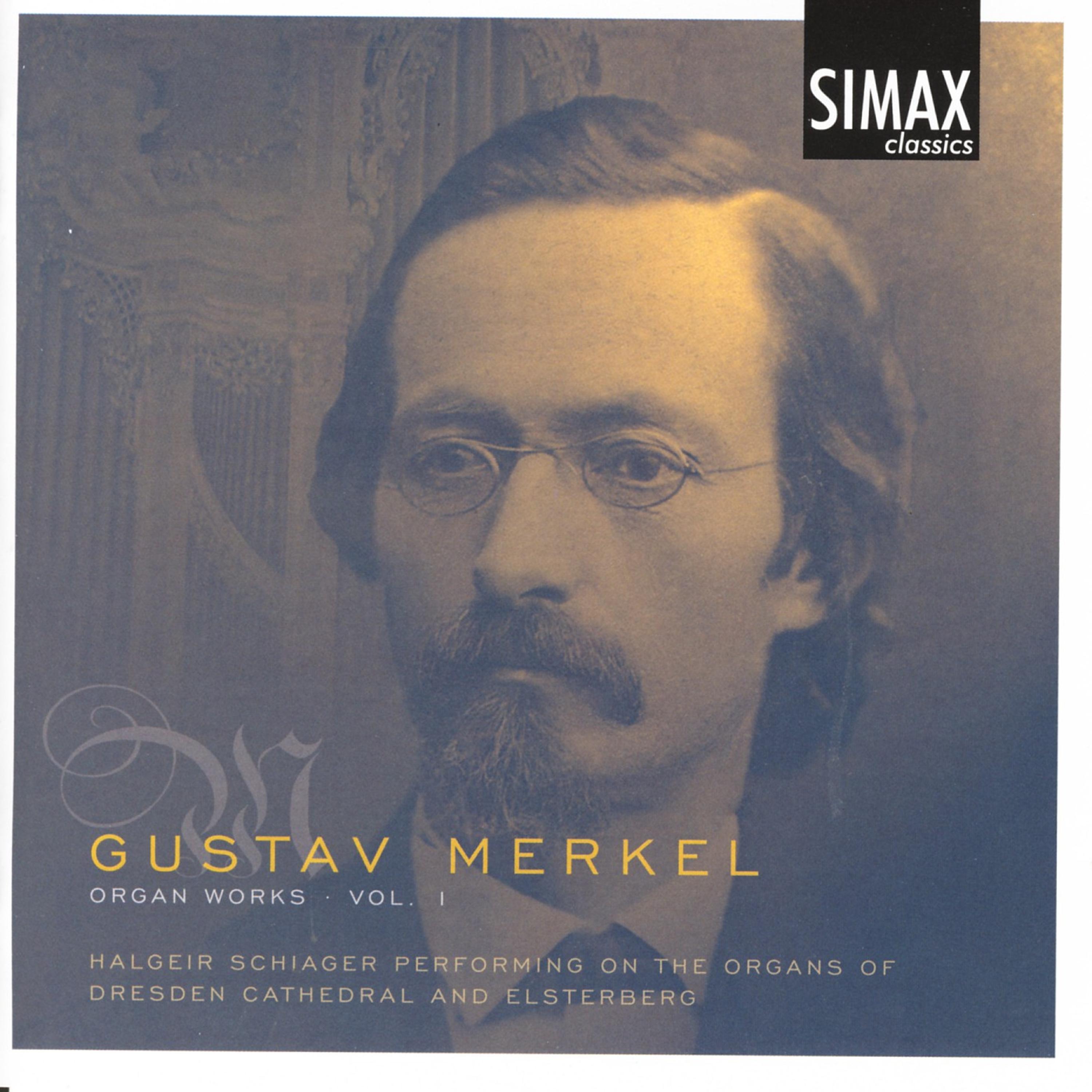 Постер альбома Gustav Merkel - Organ Works Vol. 1