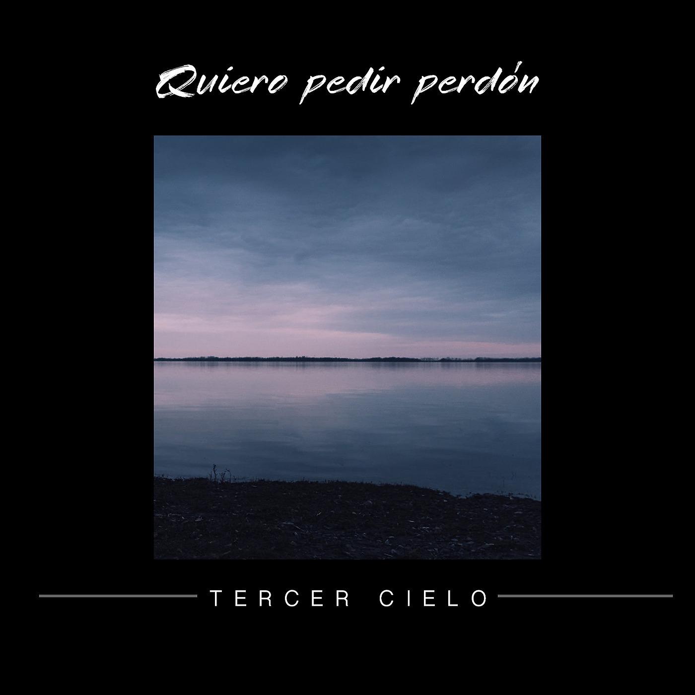 Постер альбома Quiero Pedir Perdon