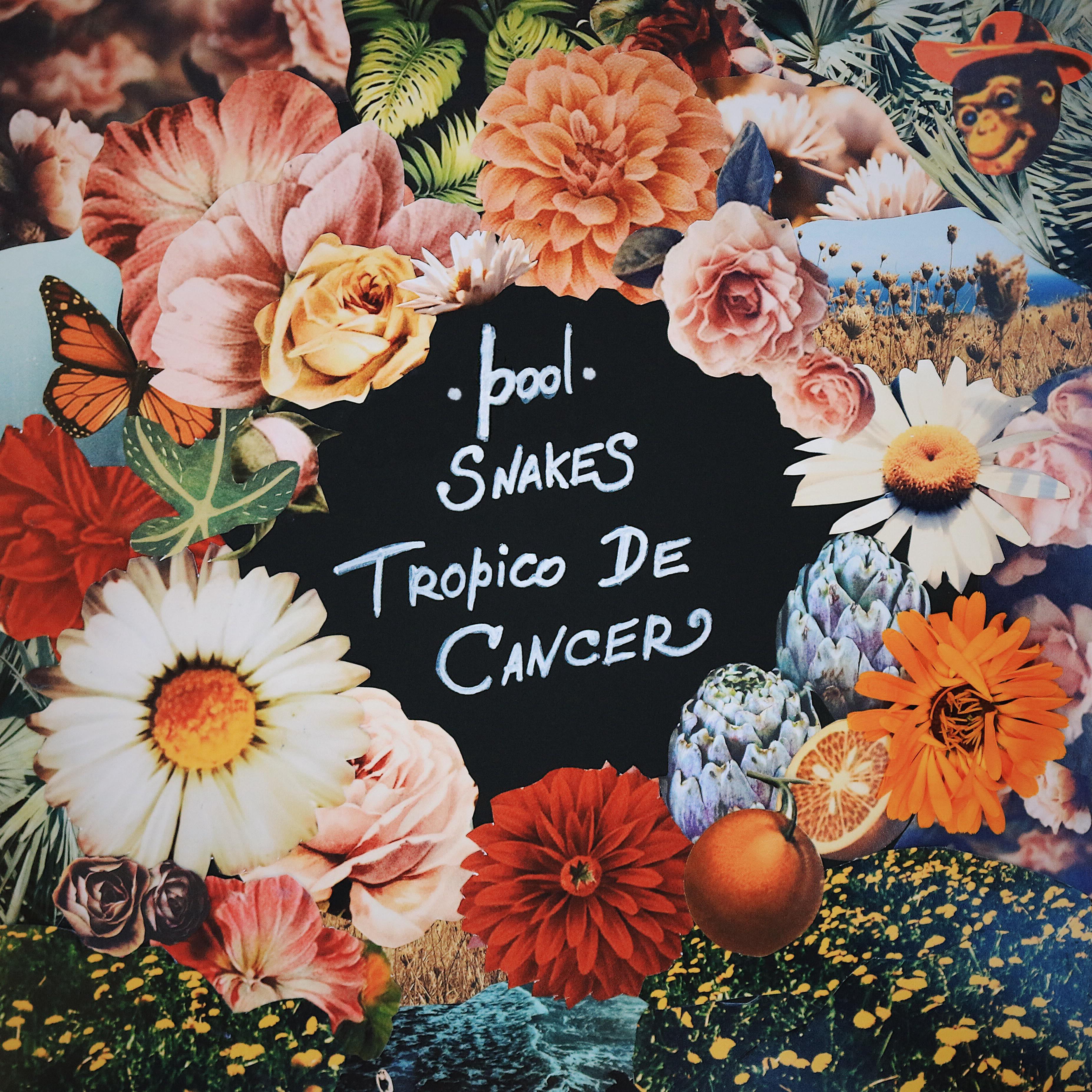 Постер альбома Tropico De Cancer