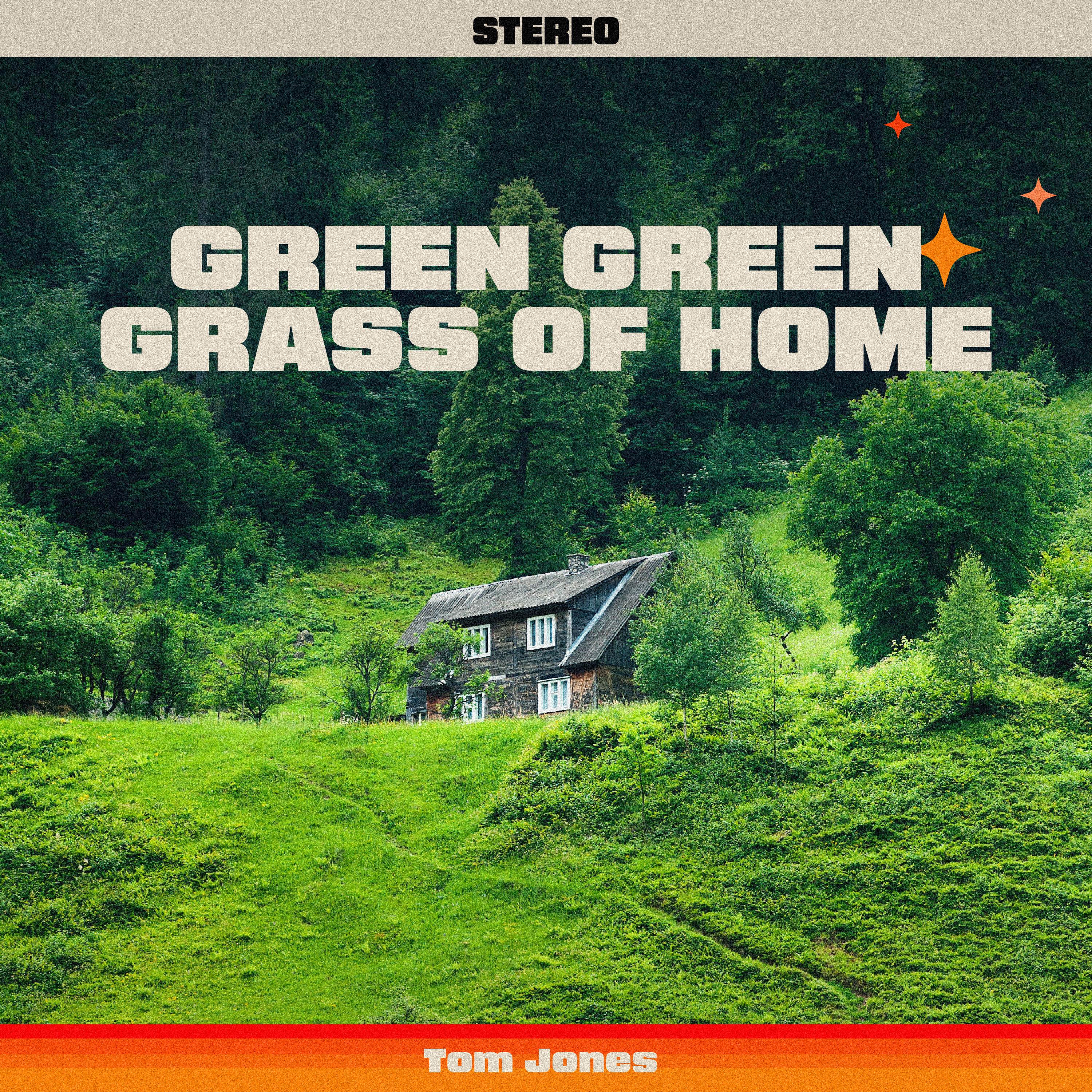 Постер альбома Green Green Grass Of Home
