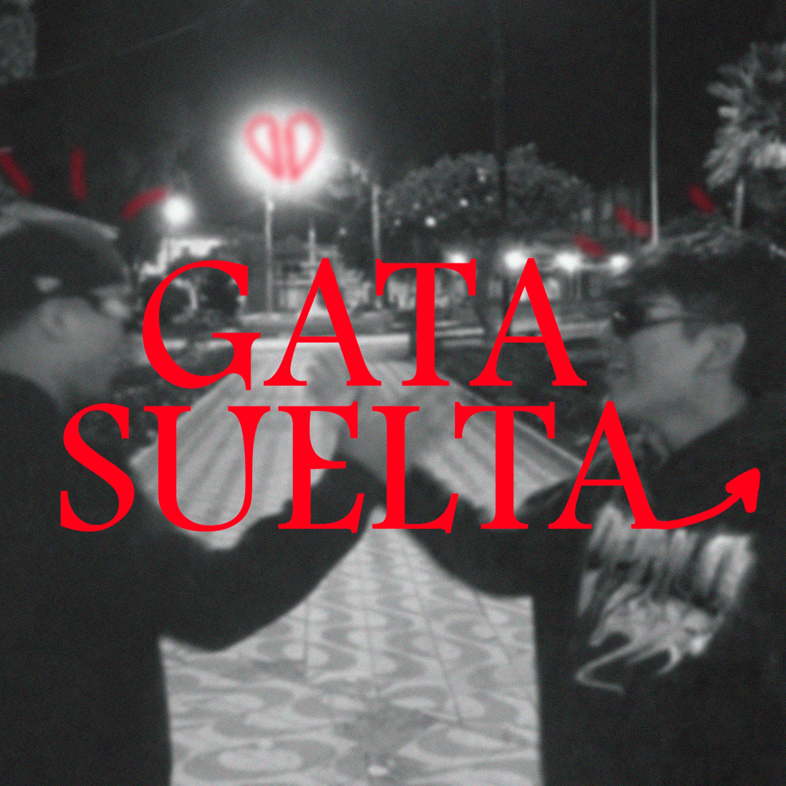 Постер альбома Gata Suelta
