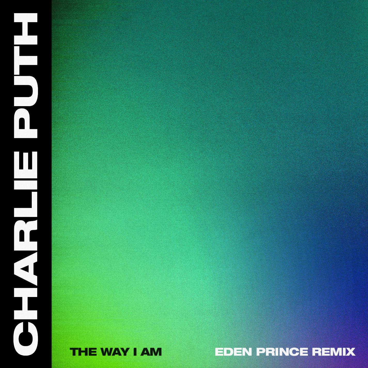 Постер альбома The Way I Am (Eden Prince Remix)