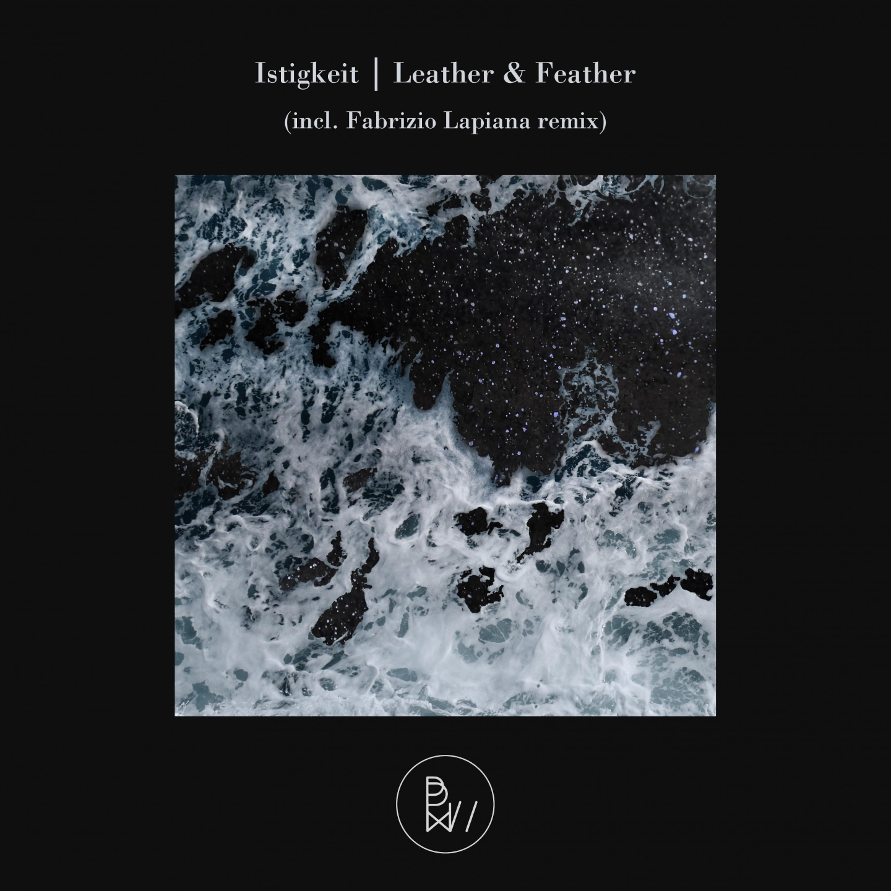 Постер альбома Leather & Feather