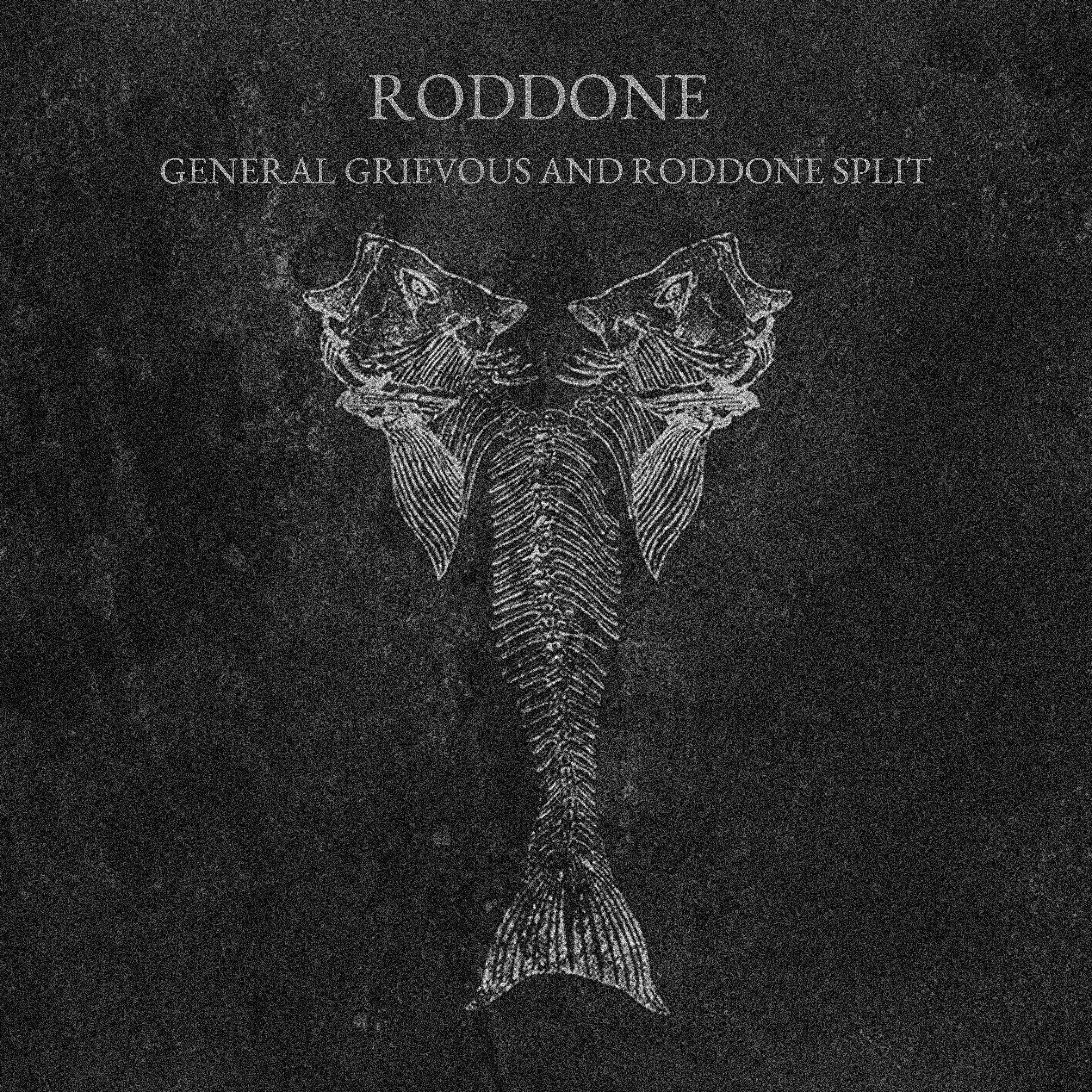 Постер альбома General Grievous and Roddone Split