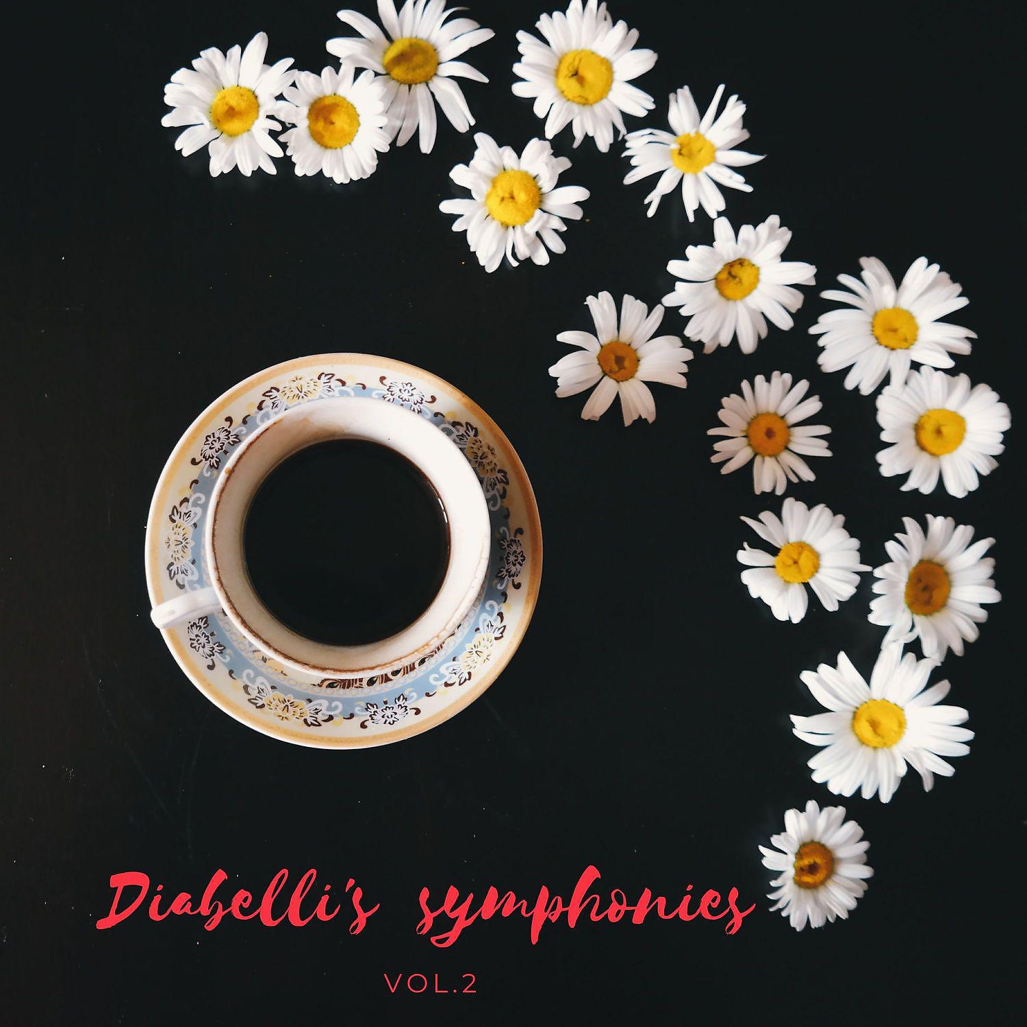 Постер альбома Diabelli's  symphonies Vol.2