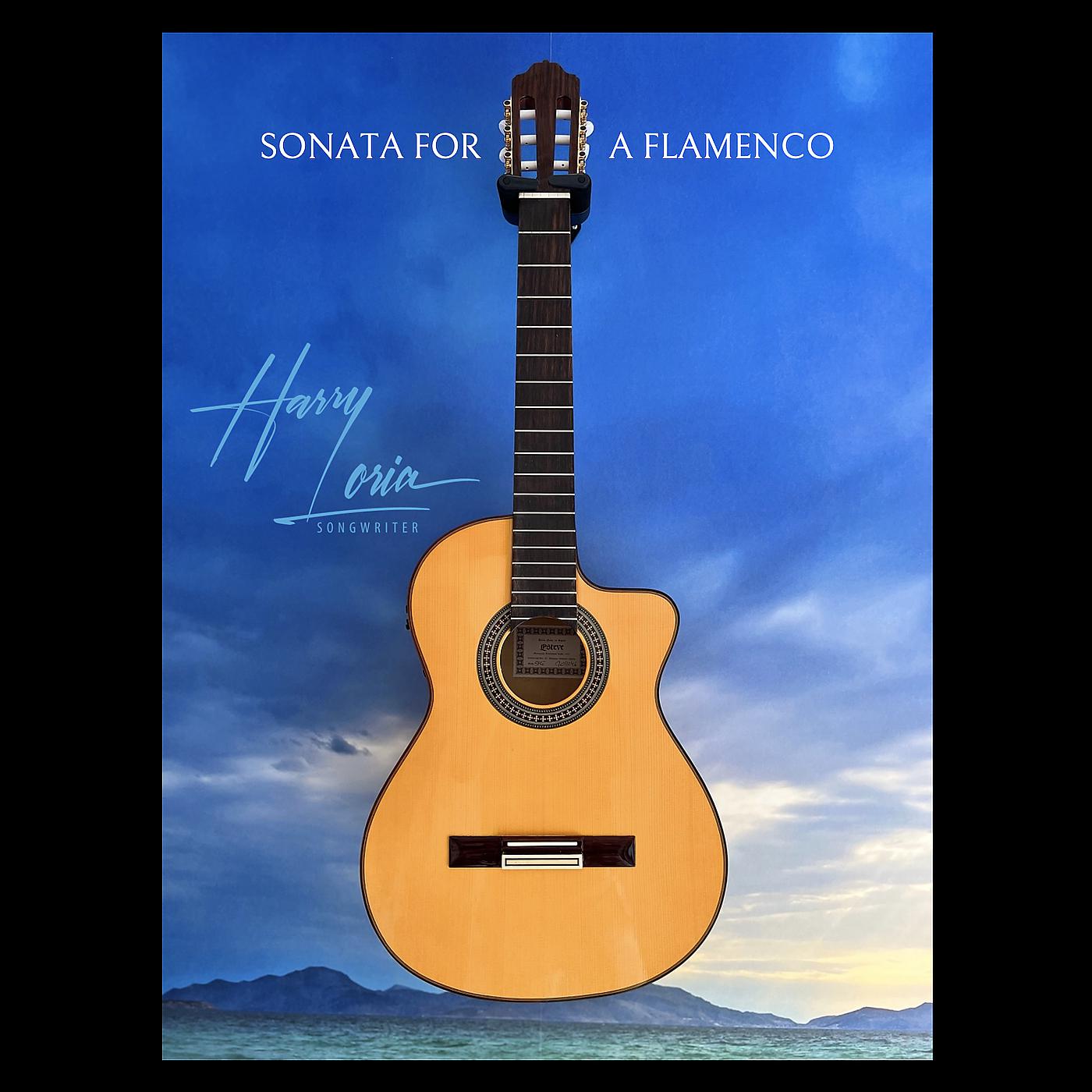 Постер альбома Sonata for a Flamenco