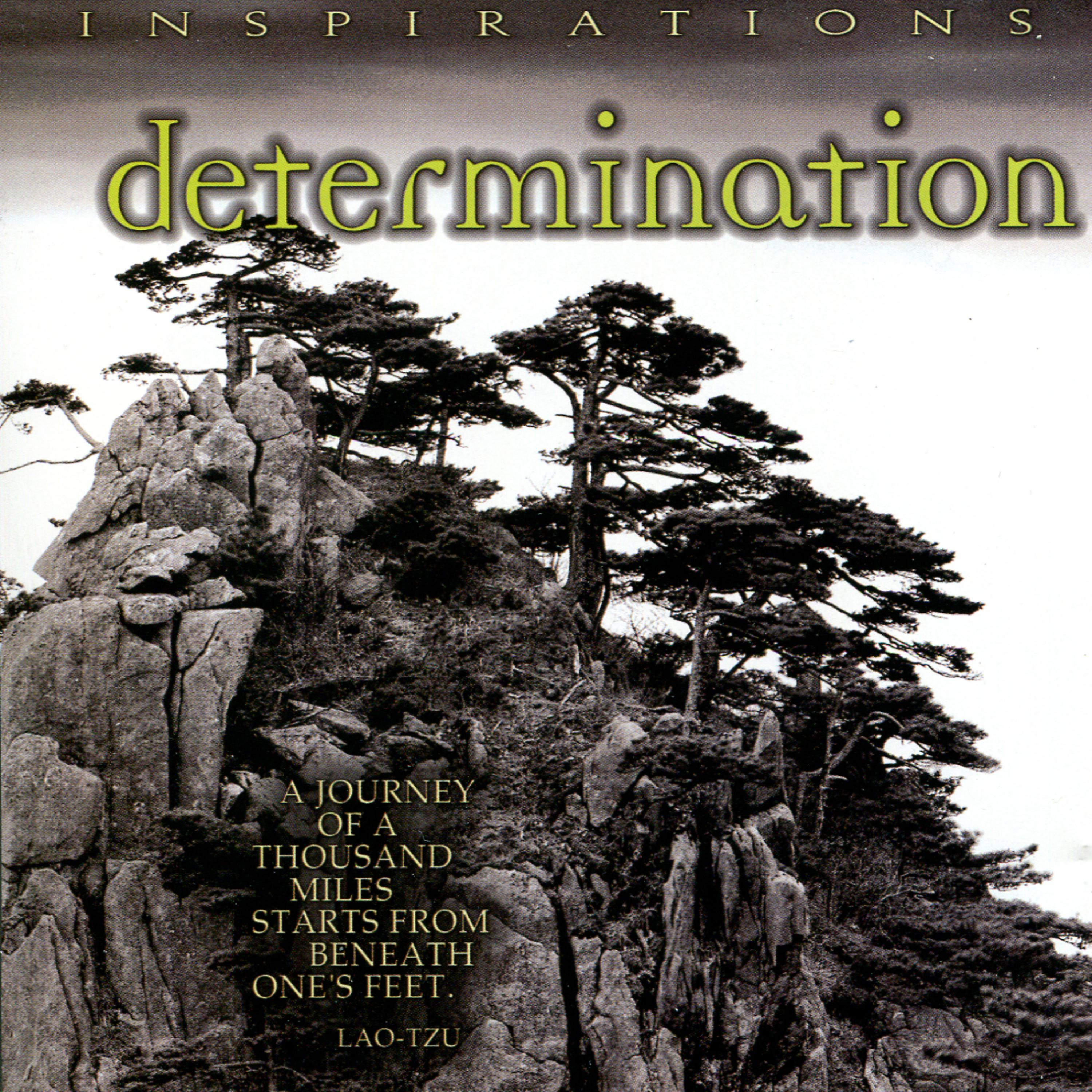 Постер альбома Inspirations - Determination