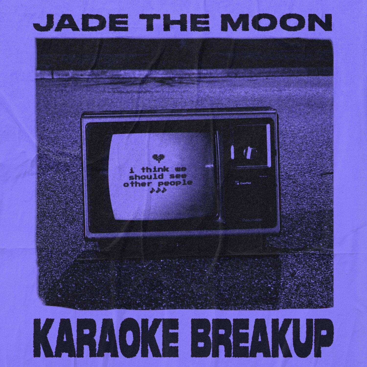 Постер альбома Karaoke Breakup