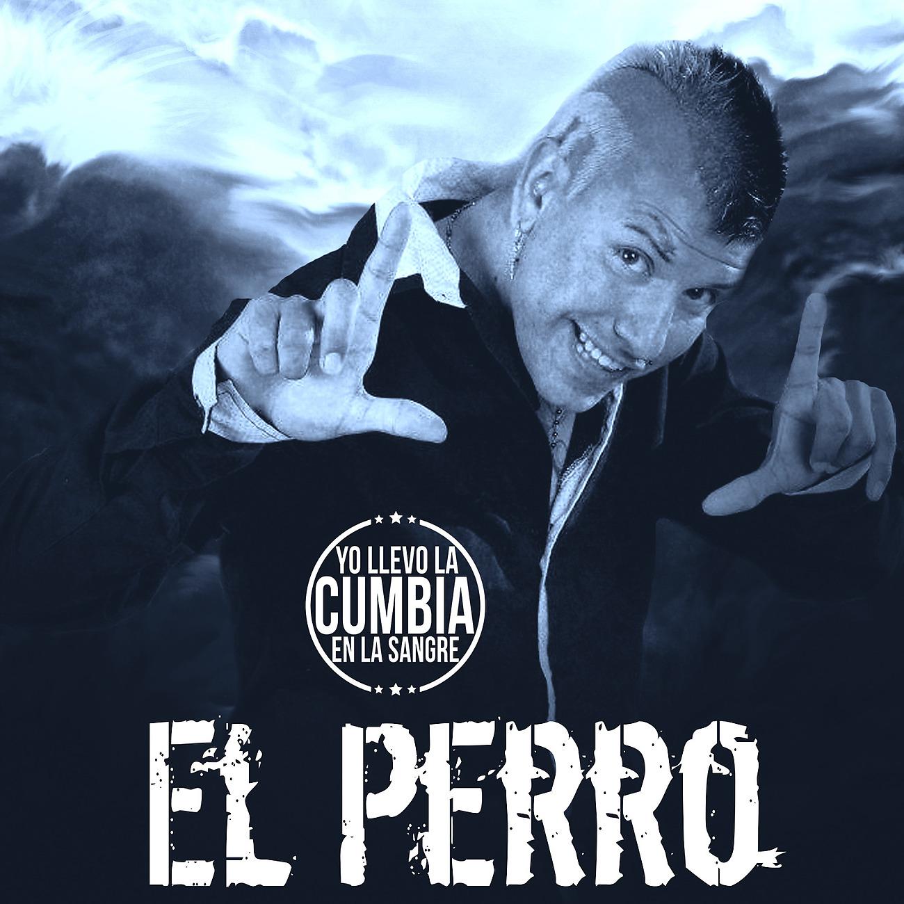 Постер альбома Yo Llevo La Cumbia En La Sangre