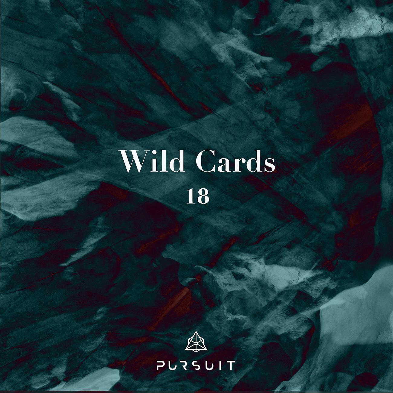 Постер альбома Wild Cards 18