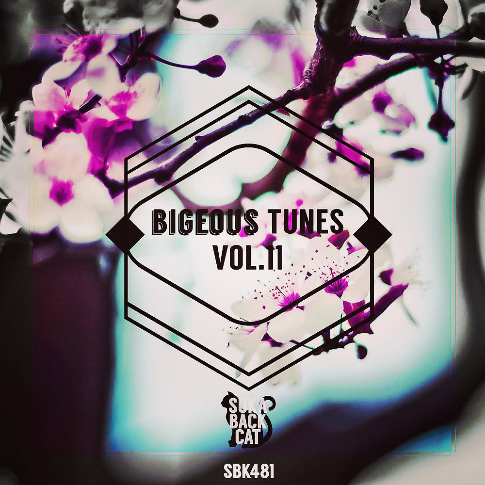 Постер альбома Bigeous Tunes,vol. 11