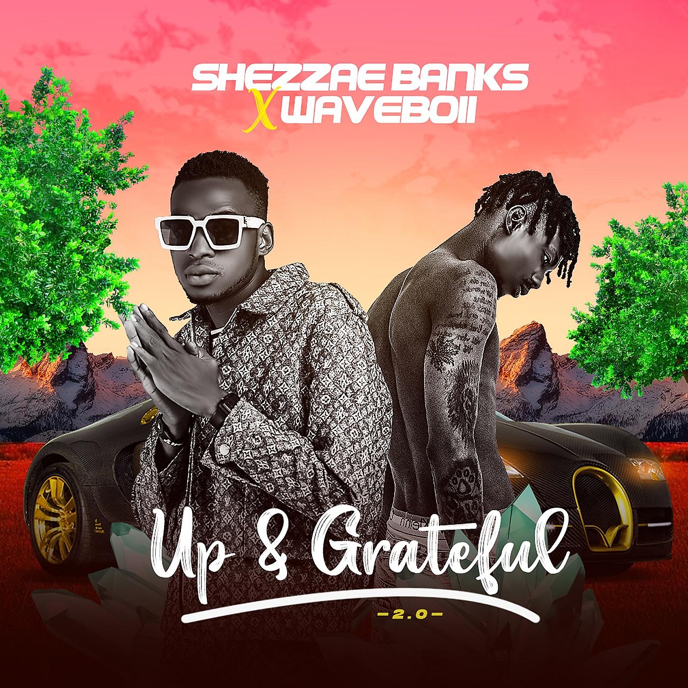 Постер альбома Up & Grateful 2.0
