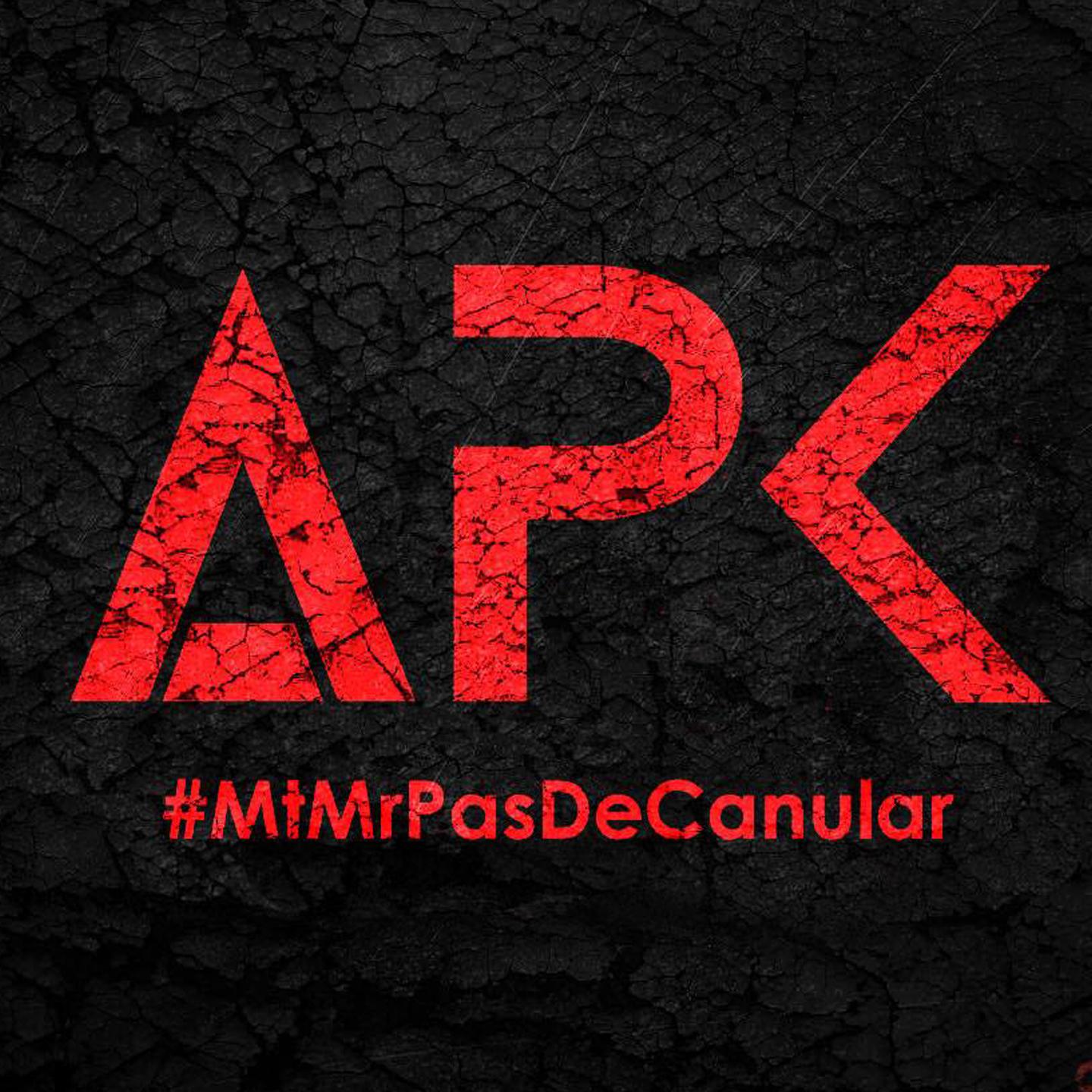 Постер альбома Mr. pas 2 canular