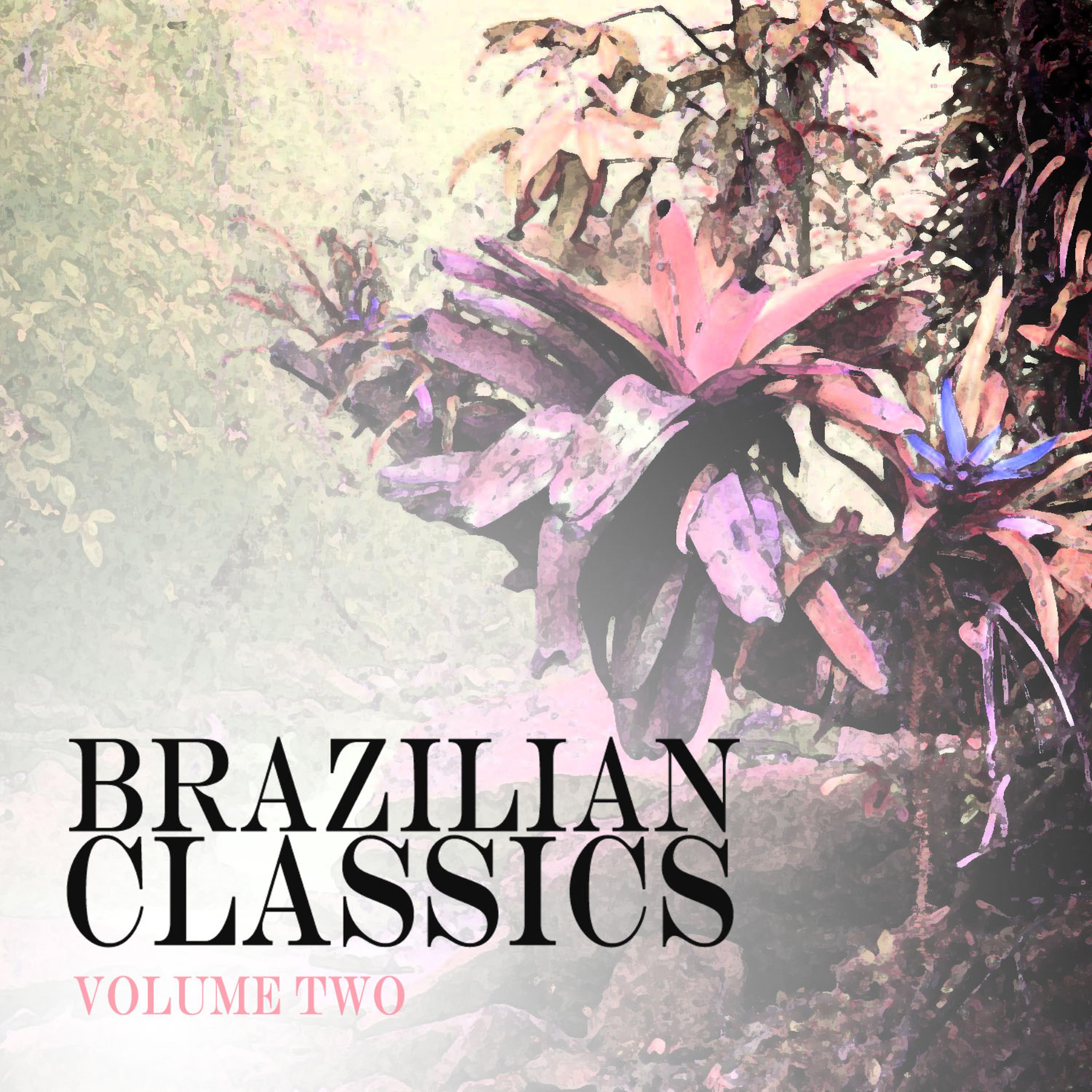 Постер альбома Brazilian Classics Vol 2