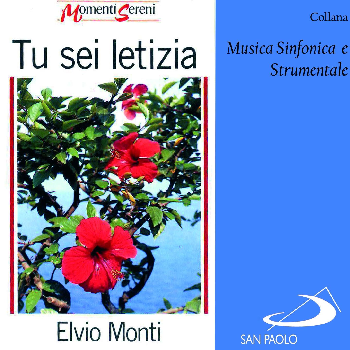 Постер альбома Collana musica sinfonica e strumentale: Tu sei letizia