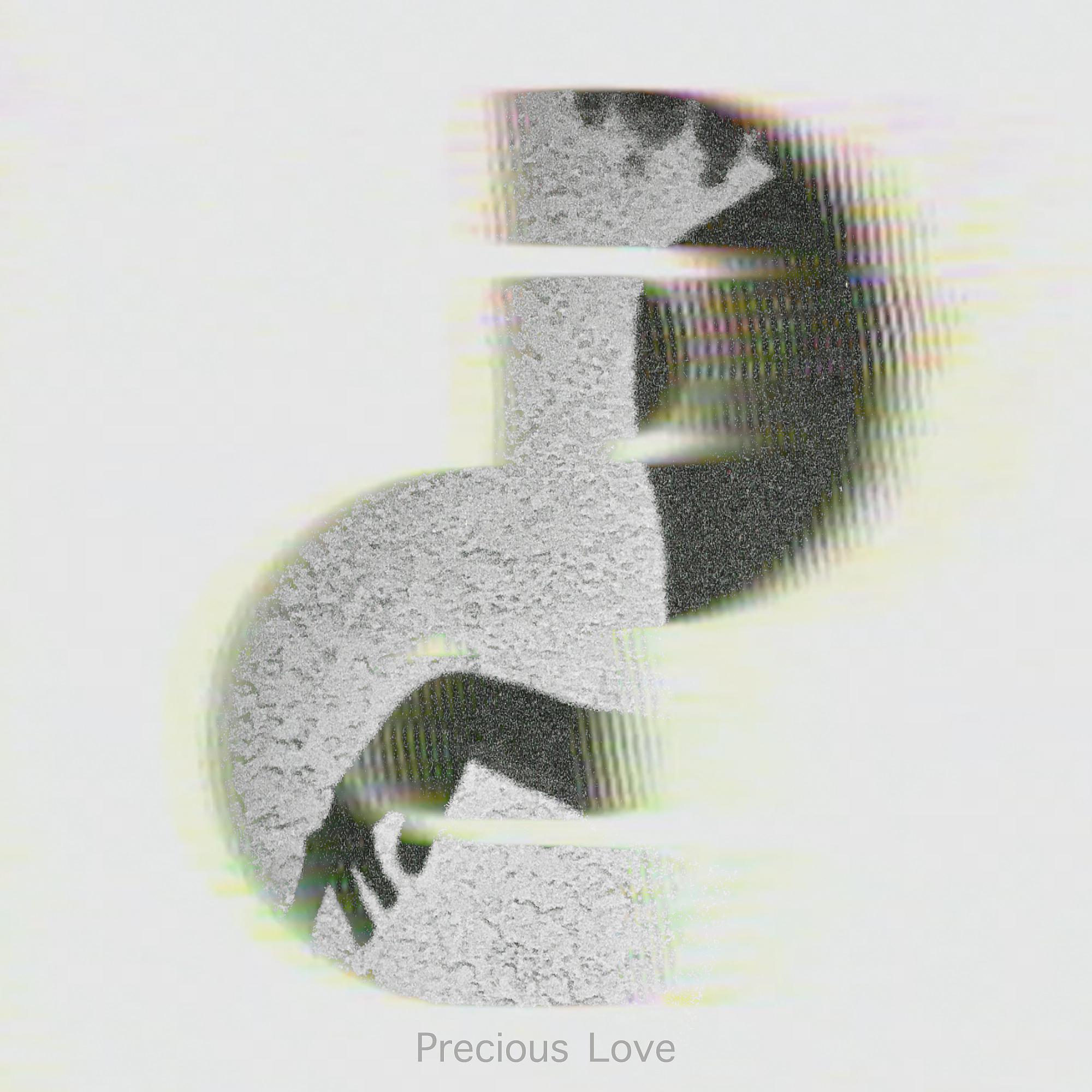 Постер альбома Precious Love