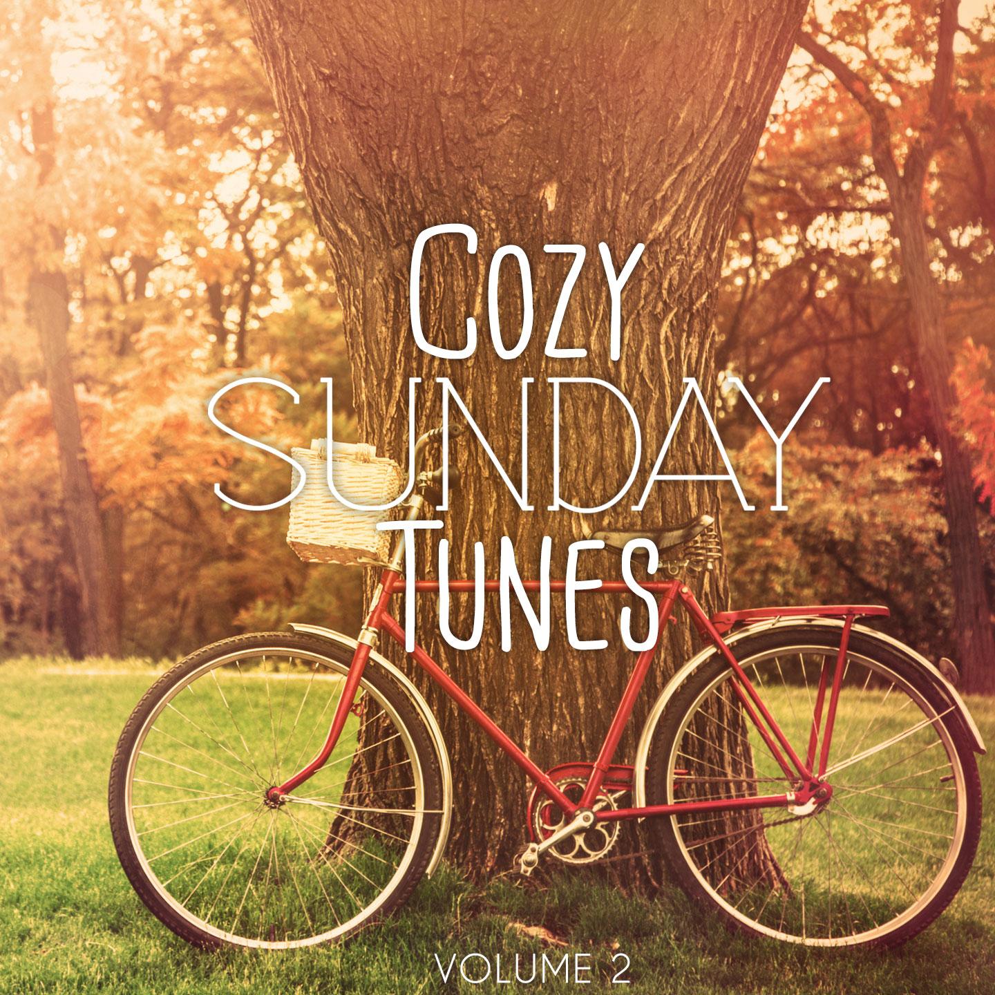 Постер альбома Cozy Sunday Tunes, Vol. 2