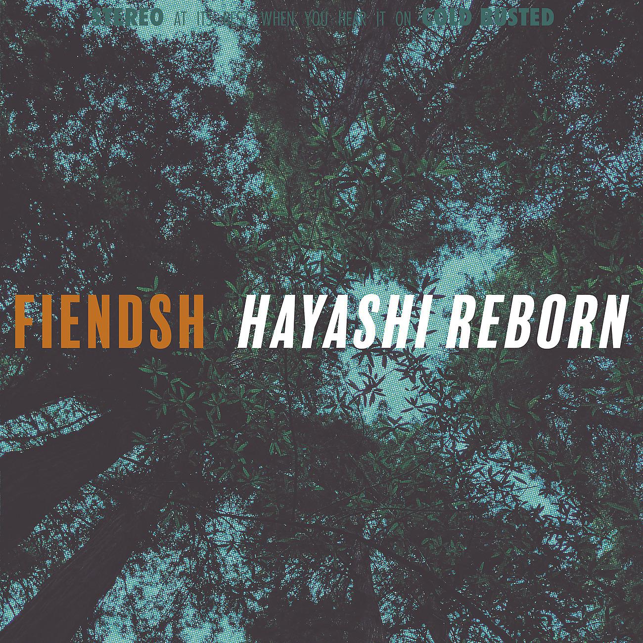Постер альбома Hayashi Reborn