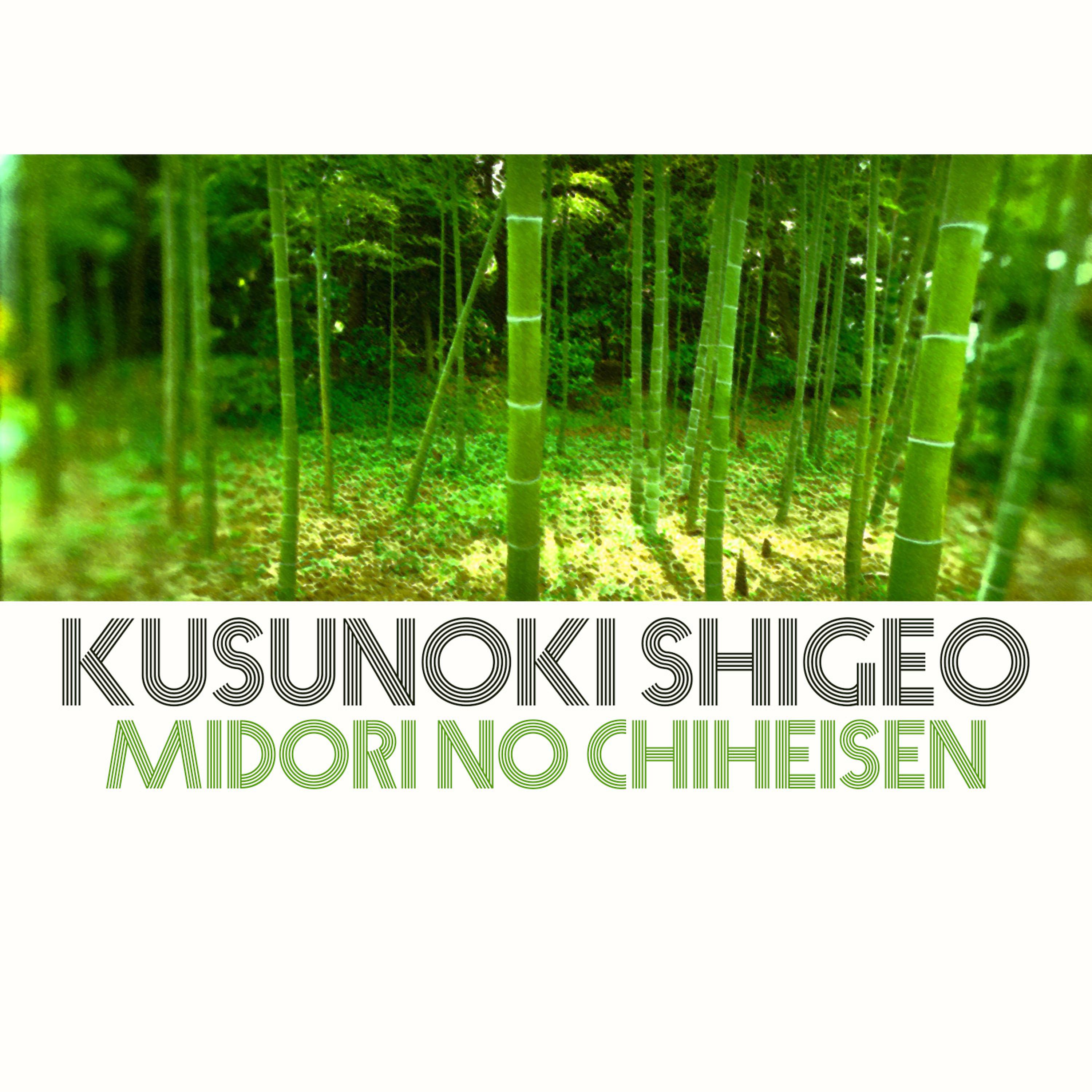 Постер альбома Midori no Chiheisen