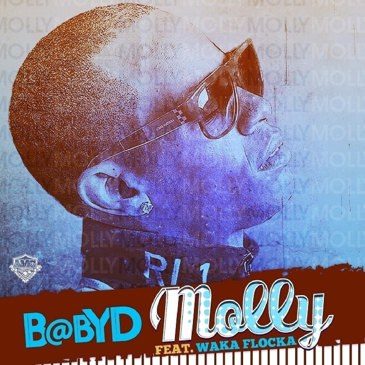 Постер альбома Molly (feat. Waka Flocka) - Single