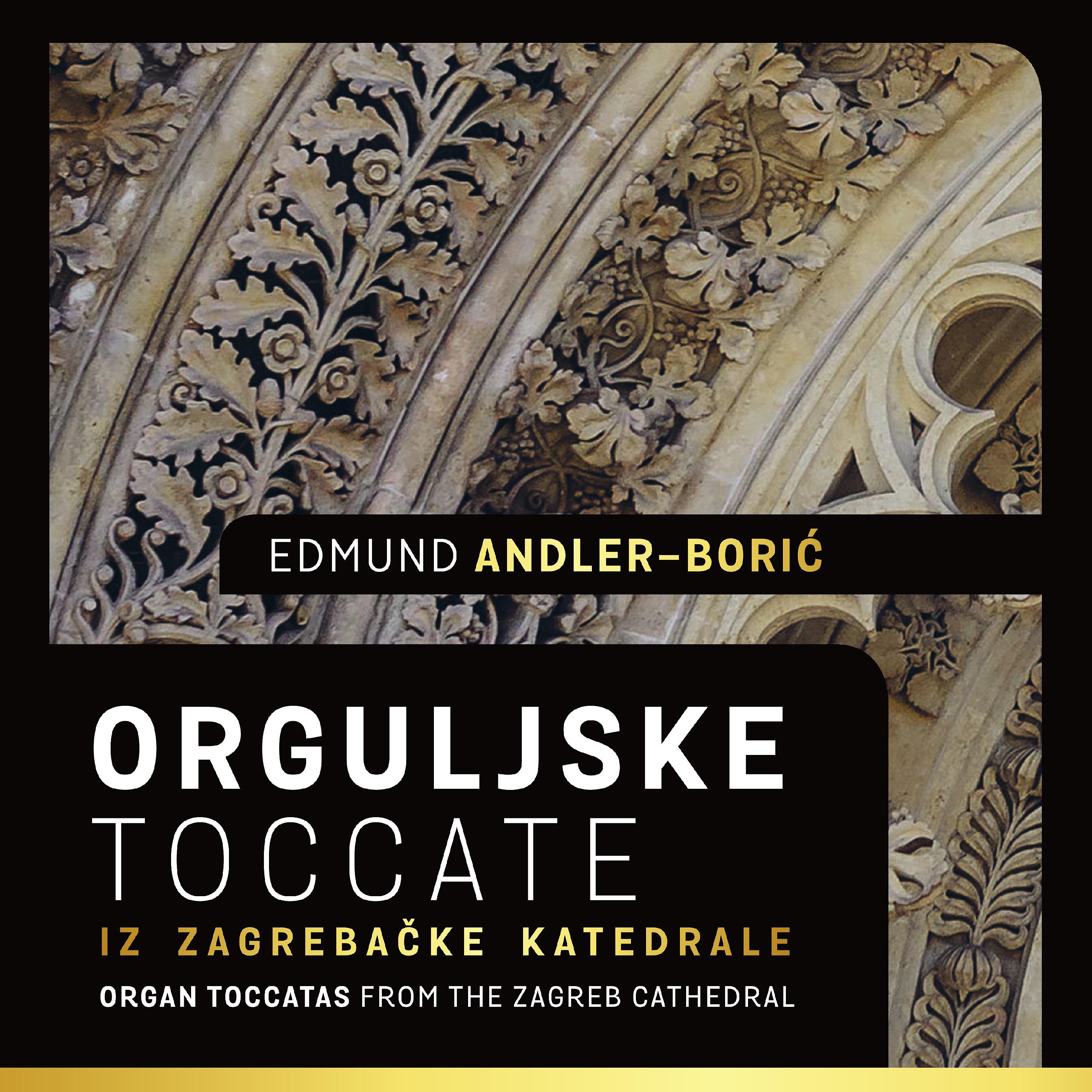 Постер альбома Orguljske Toccate Iz Zagrebačke Katedrale