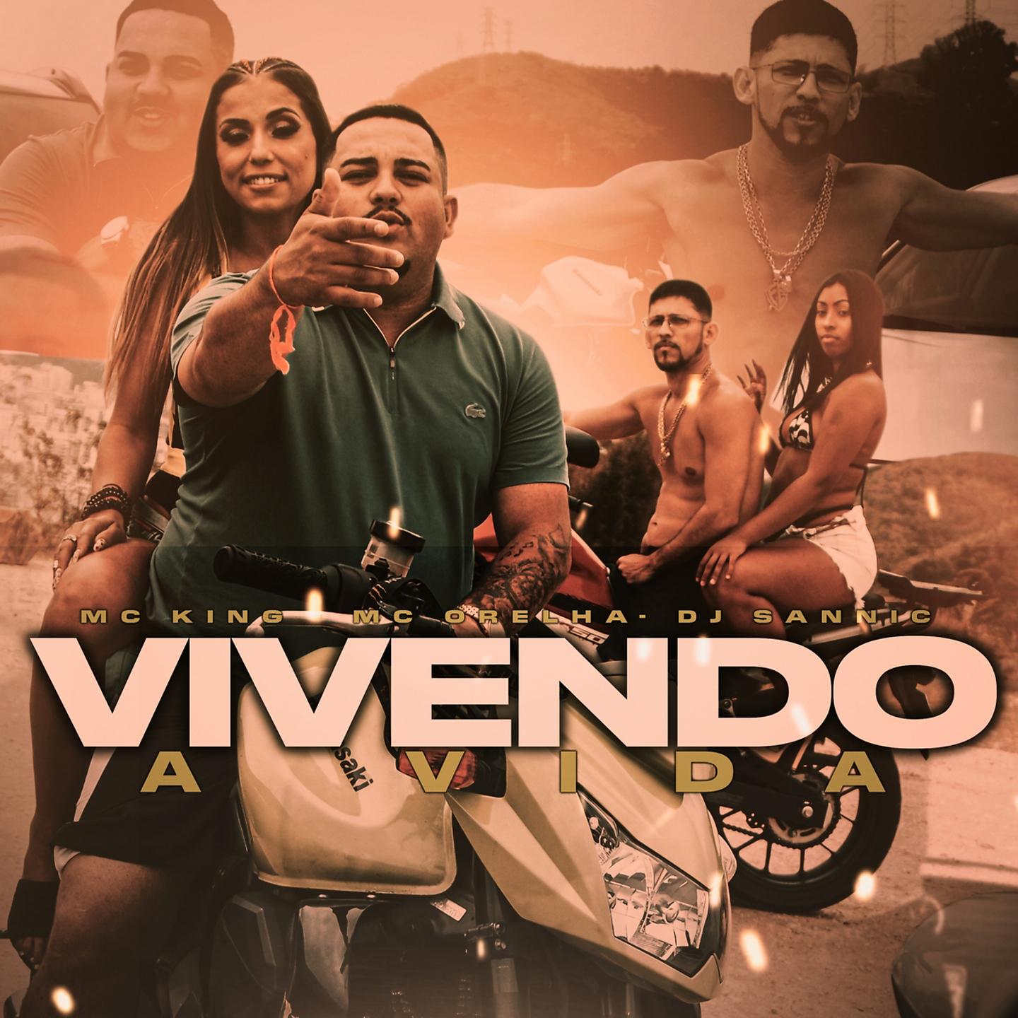 Постер альбома Vivendo a Vida