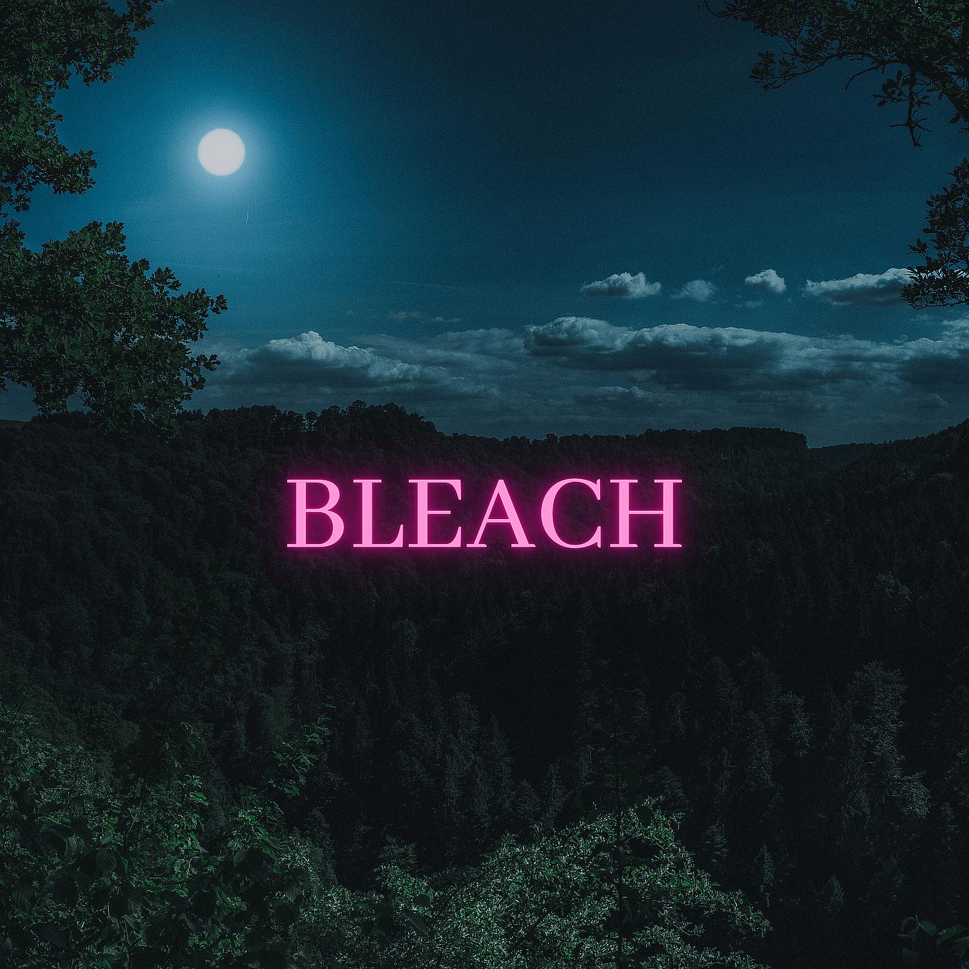 Постер альбома Bleach