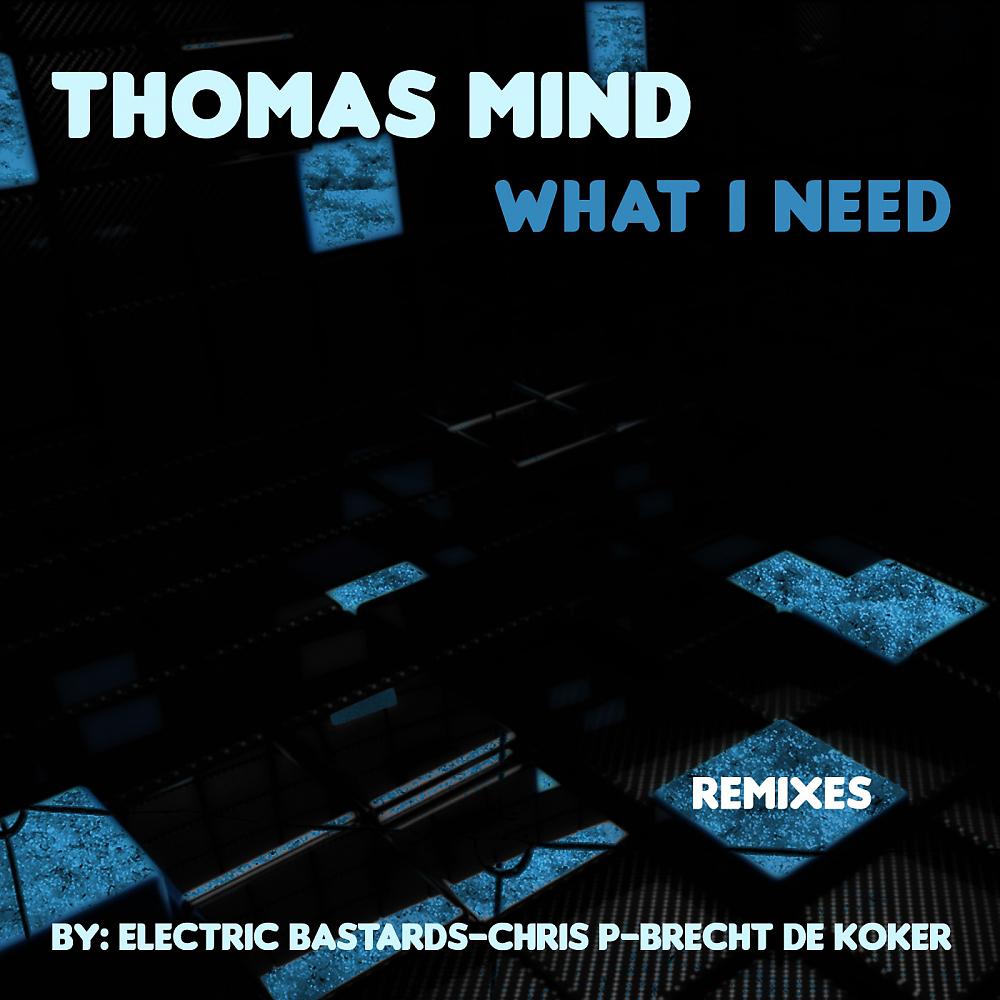 Постер альбома What I Need - Remixes
