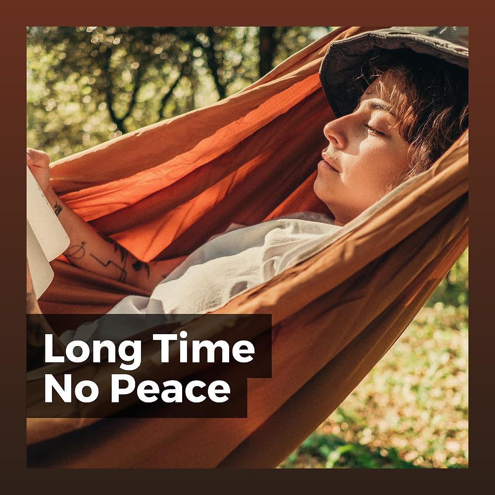Постер альбома Long Time No Peace