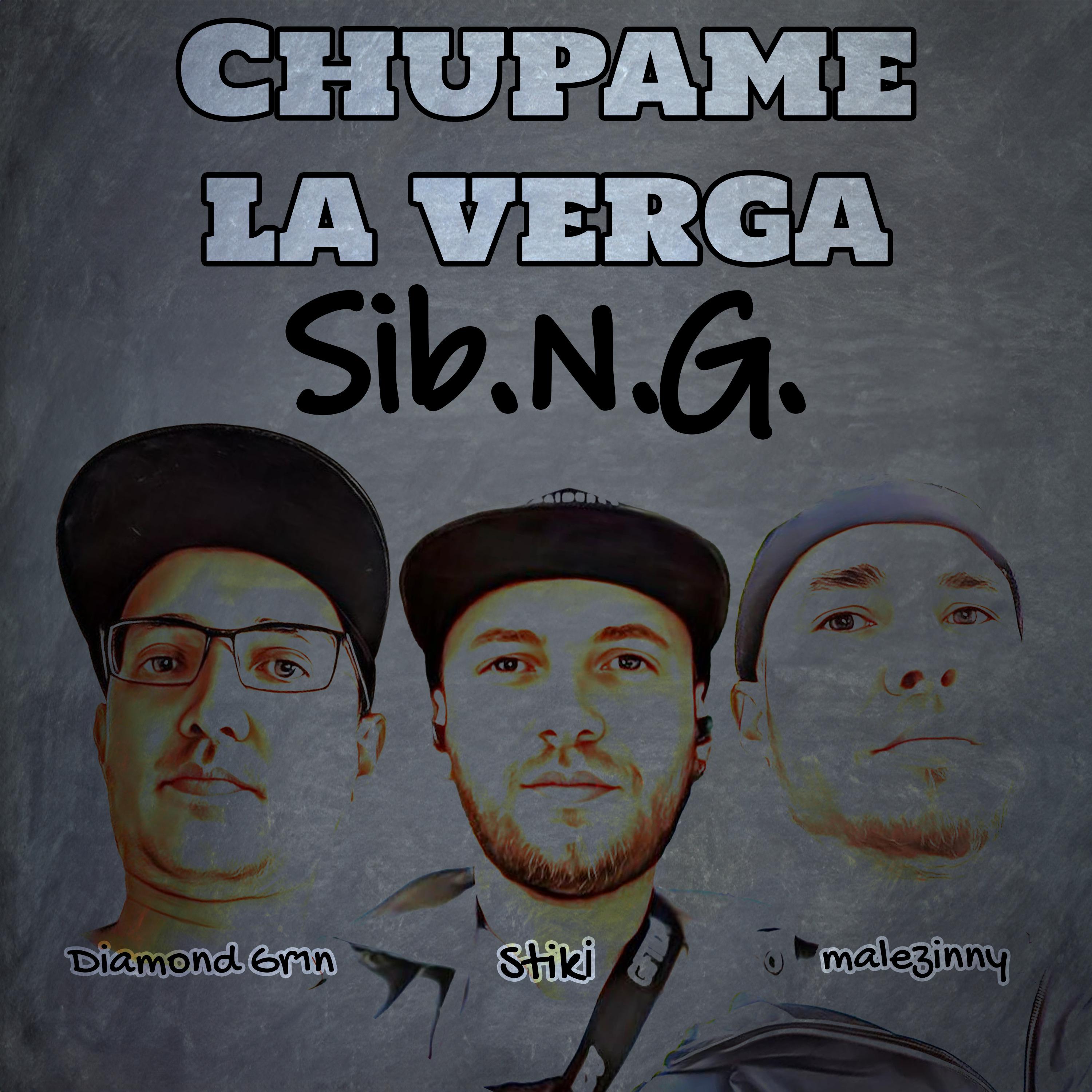 Постер альбома Chupame la verga