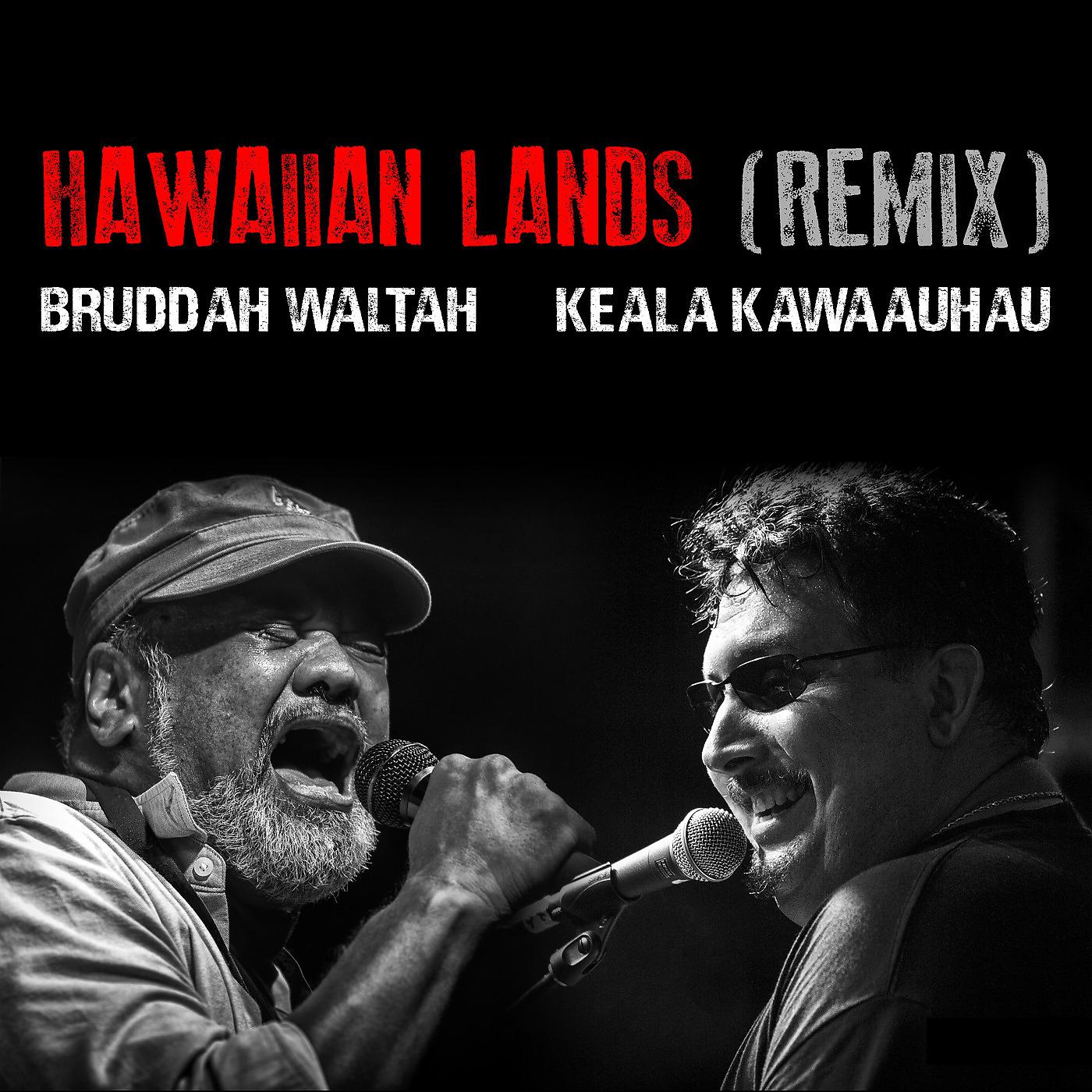 Постер альбома Hawaiian Lands (Remix)