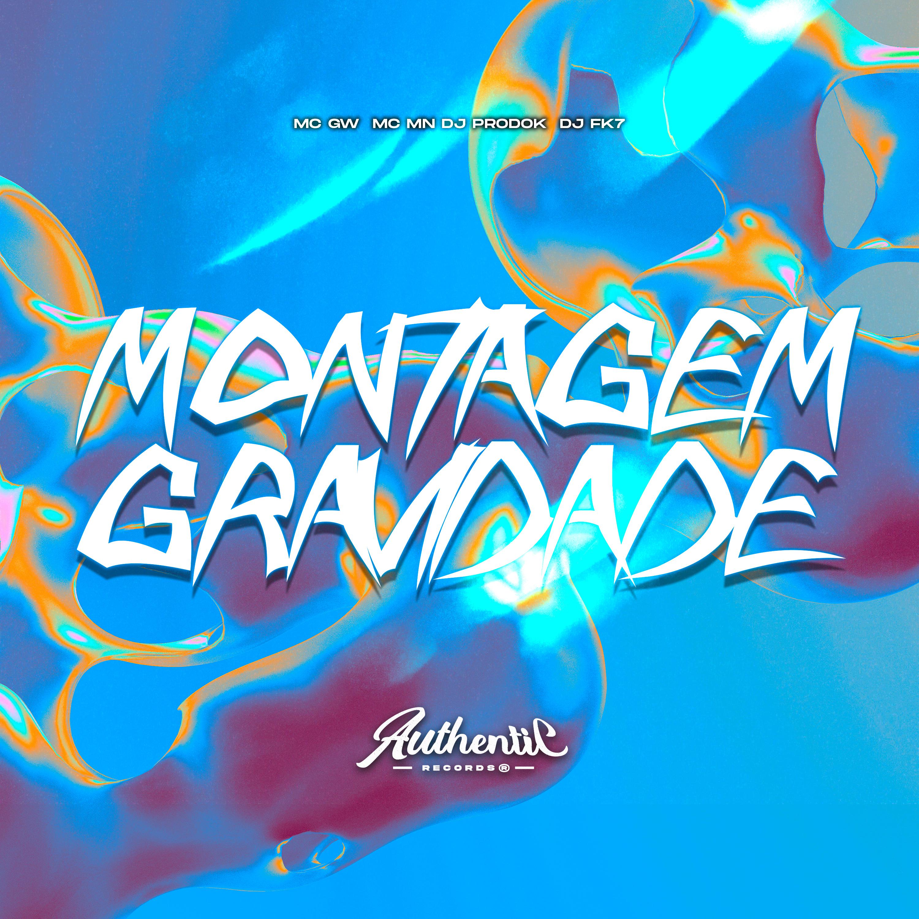 Постер альбома Montagem Gravidade