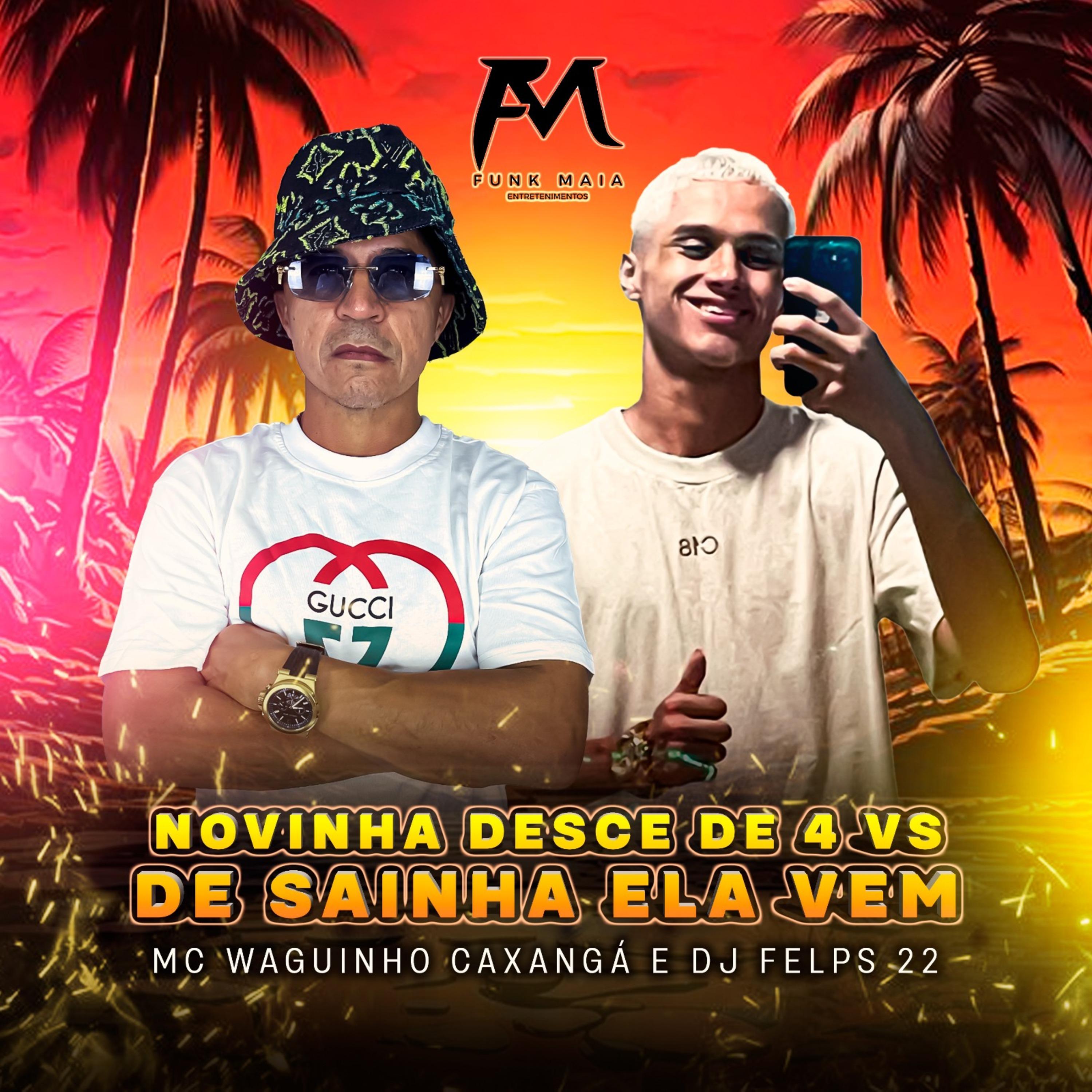 Постер альбома Novinha Desce de 4 Vs de Sainha Ela Vem