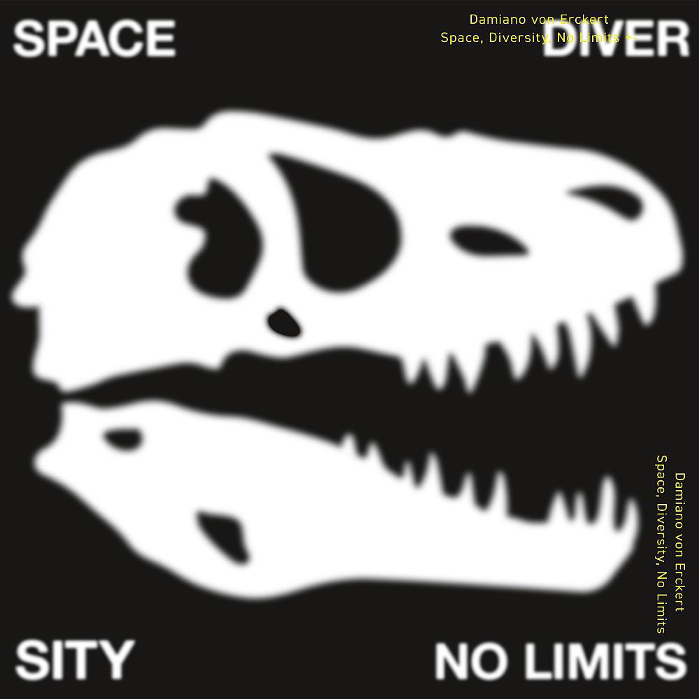 Постер альбома Space, Diversity, No Limits