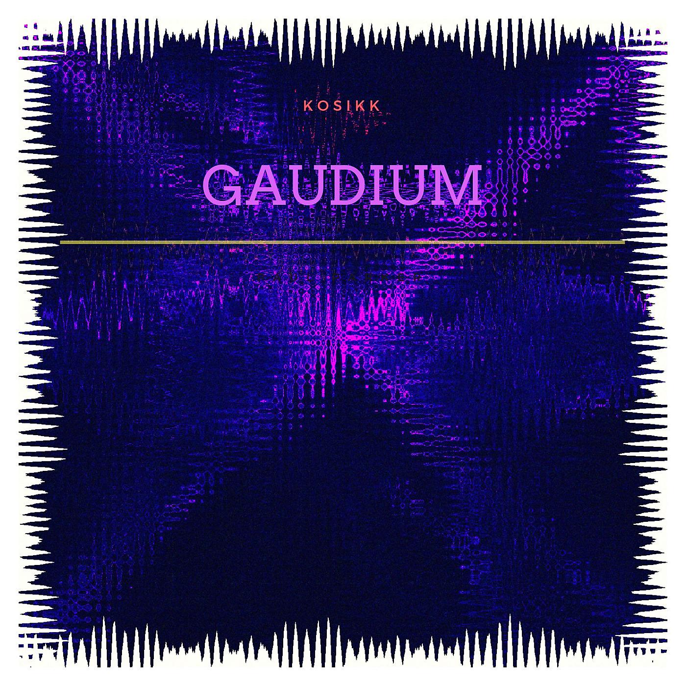 Постер альбома Gaudium