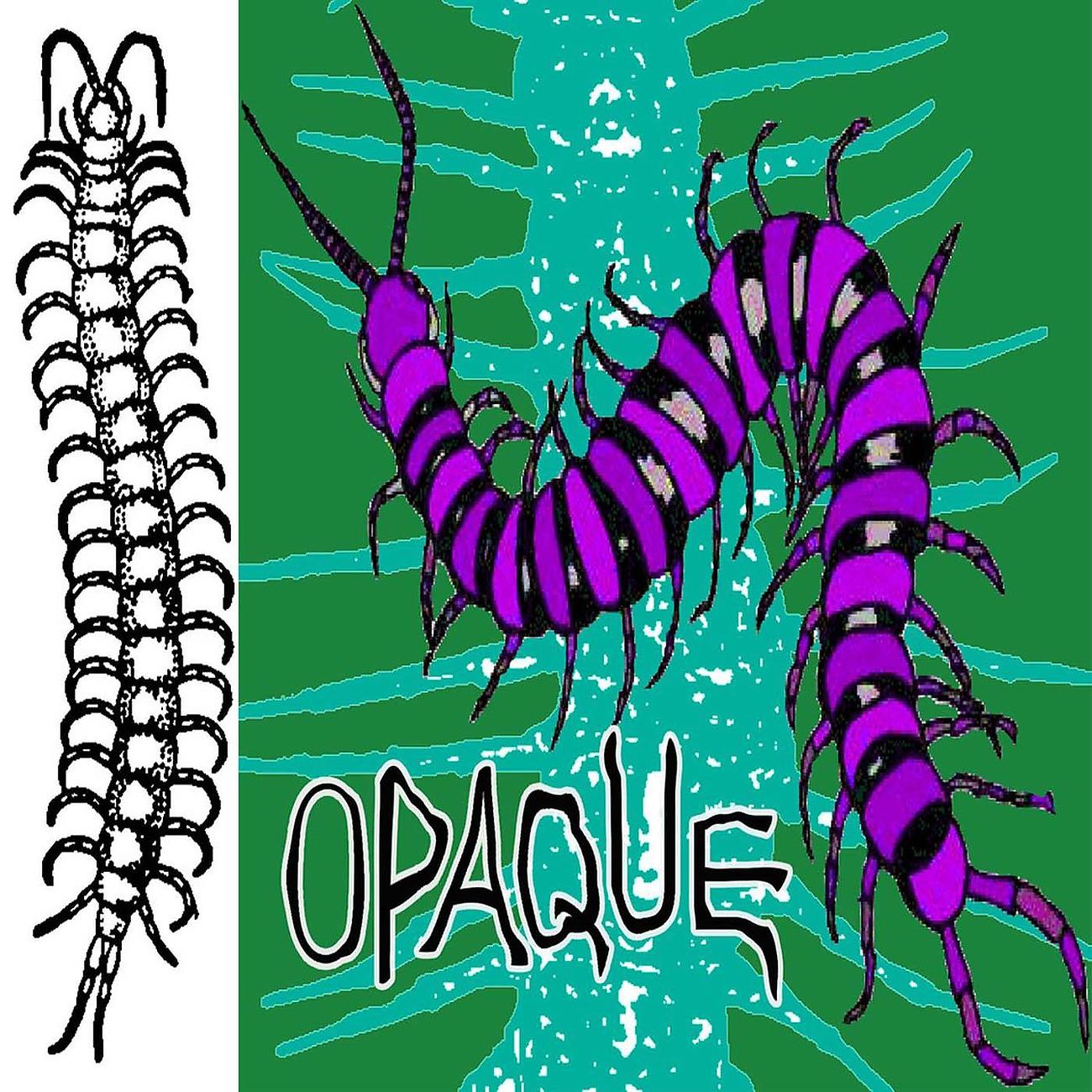 Постер альбома Secret Domain Of Giant Centipede