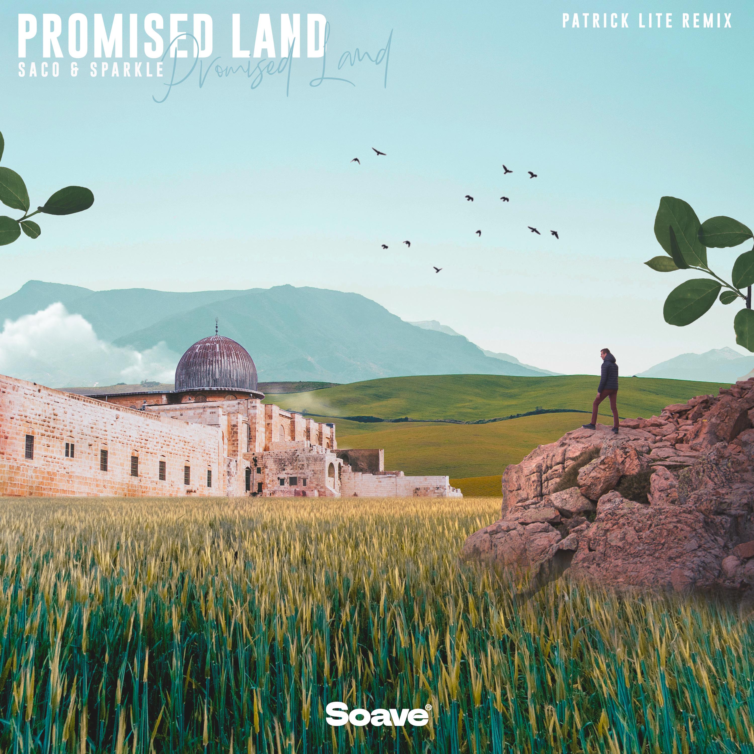Постер альбома Promised Land (Patrick Lite Remix)