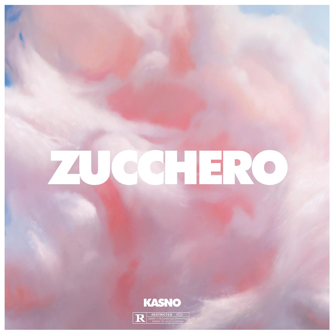 Постер альбома Zucchero