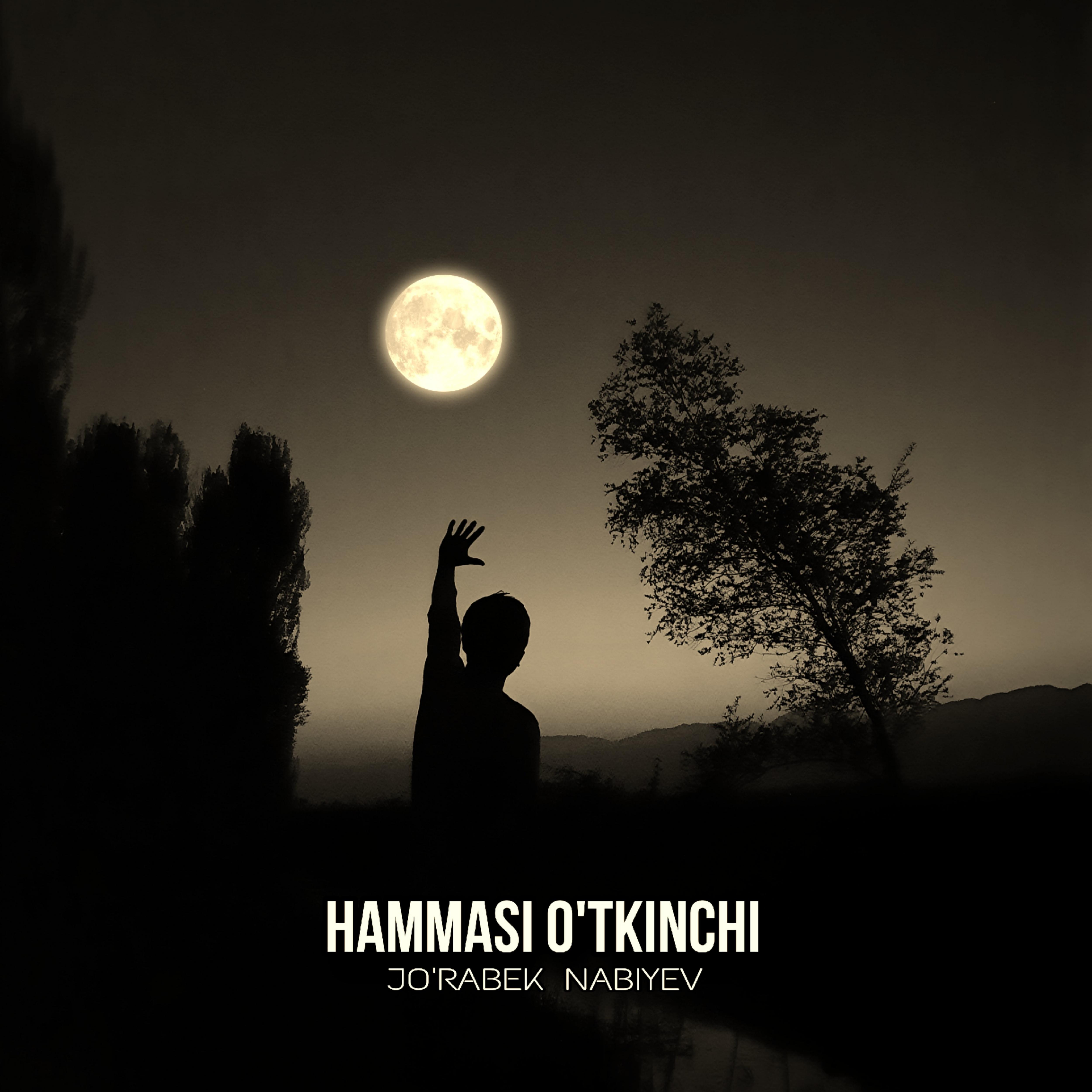 Постер альбома Hammasi O'tkinchi