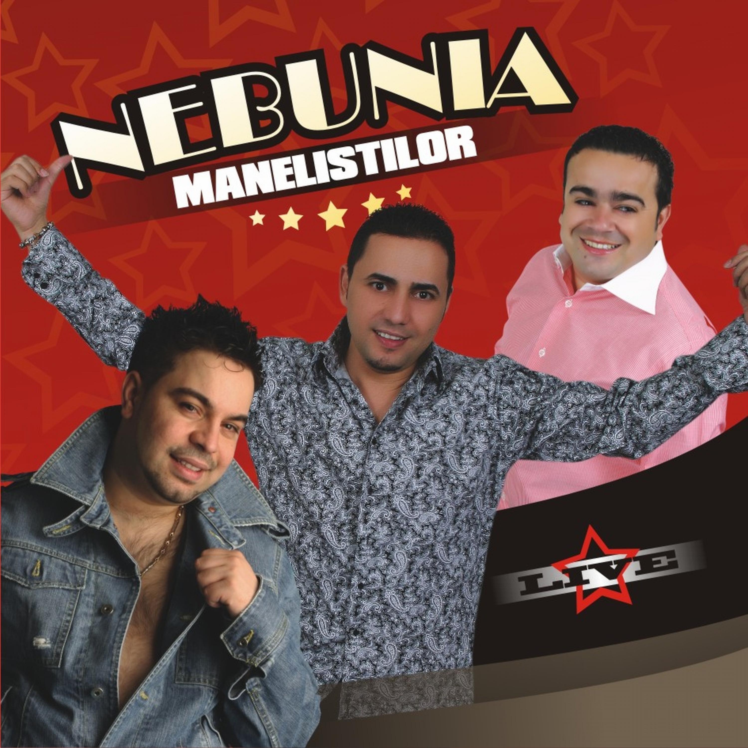 Постер альбома Nebunia Manelistilor
