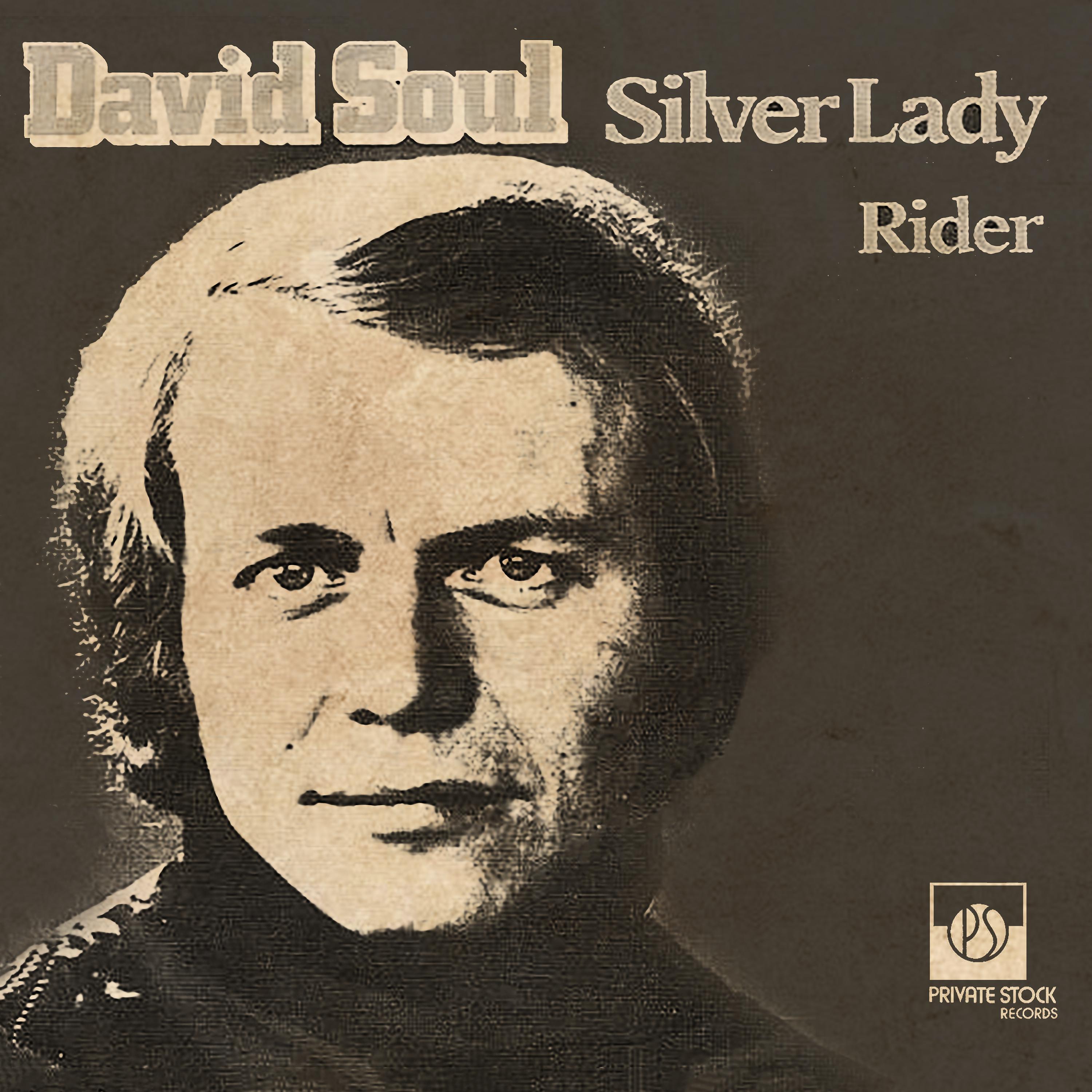 Постер альбома Silver Lady