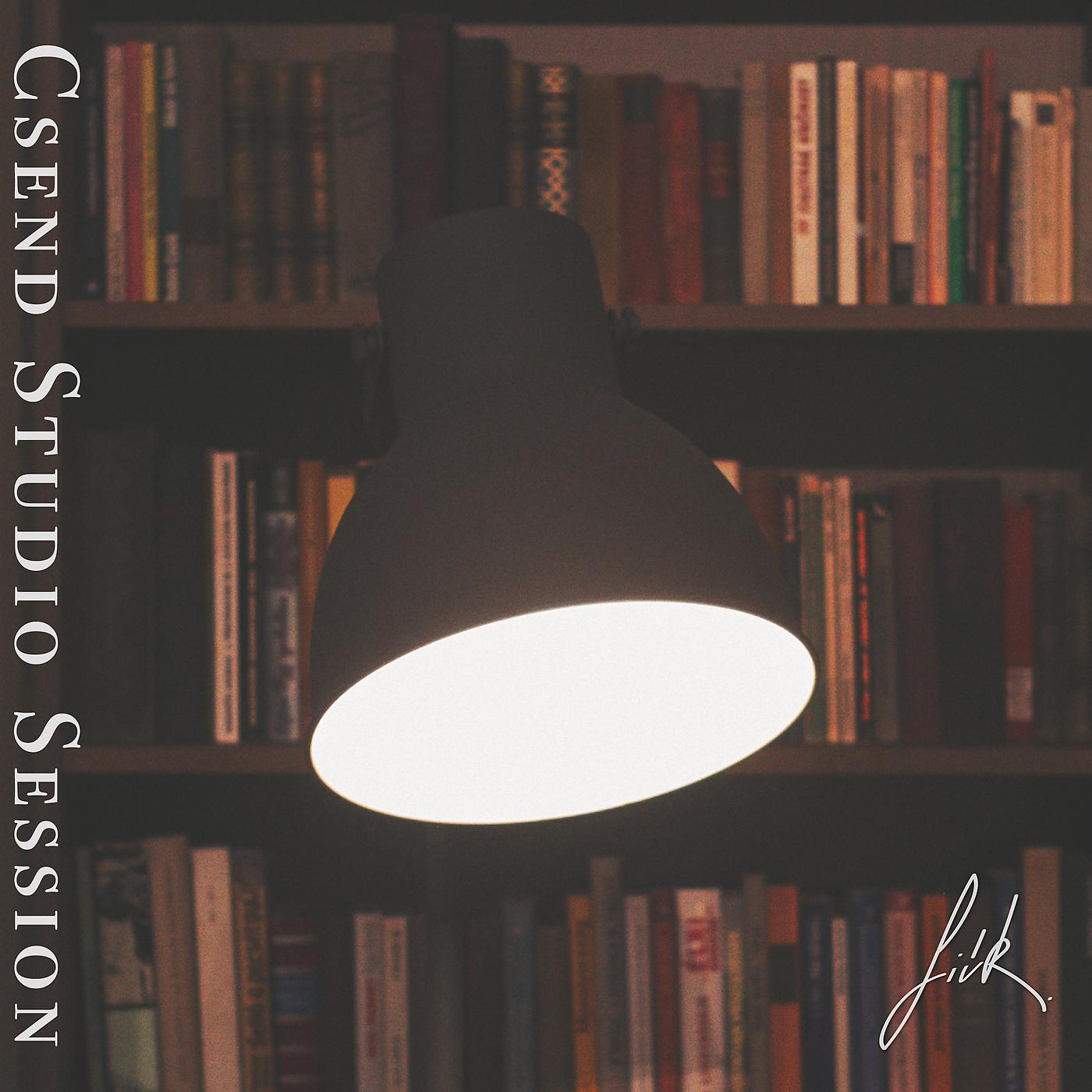 Постер альбома Csend Studio Session
