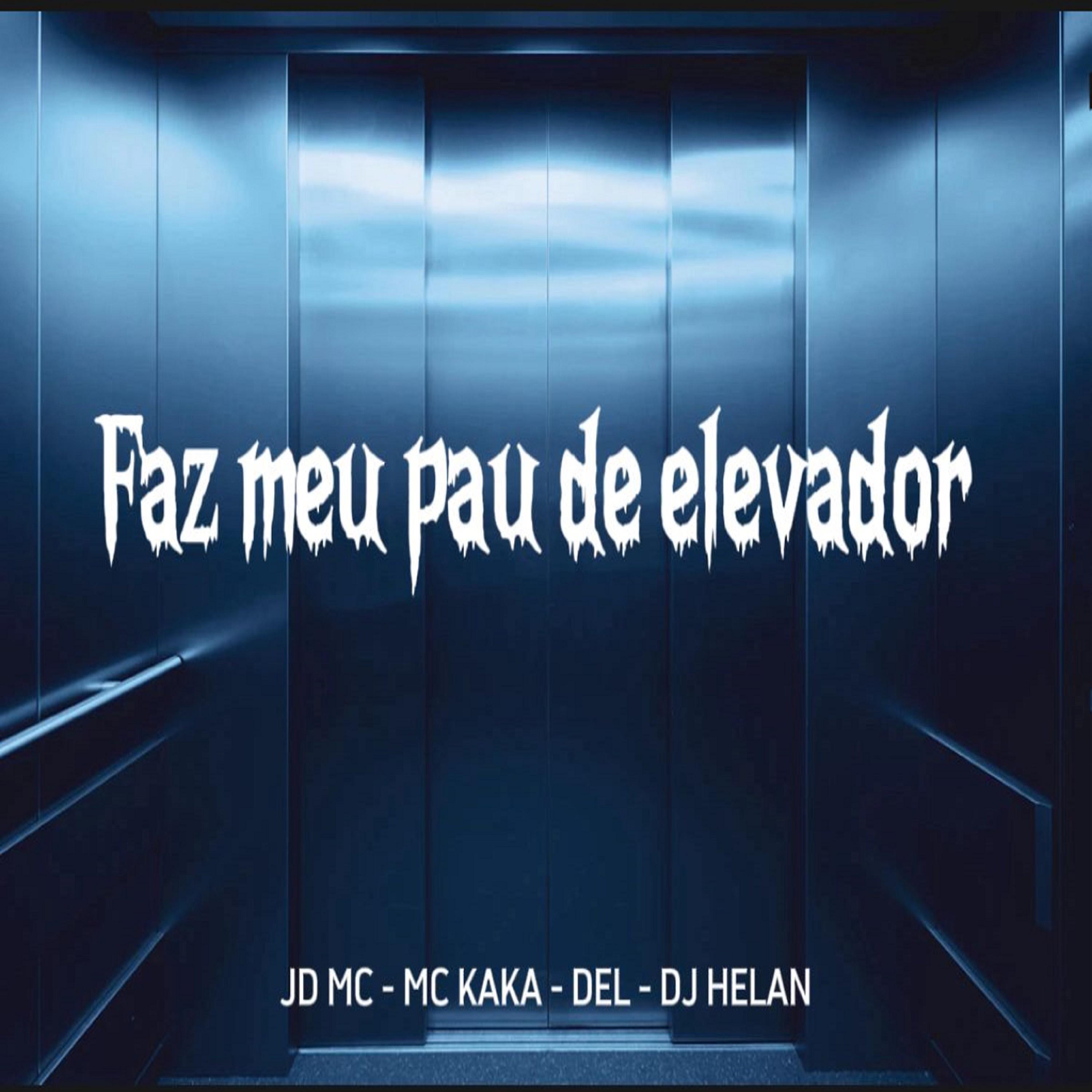 Постер альбома Faz Meu Pau de Elevador