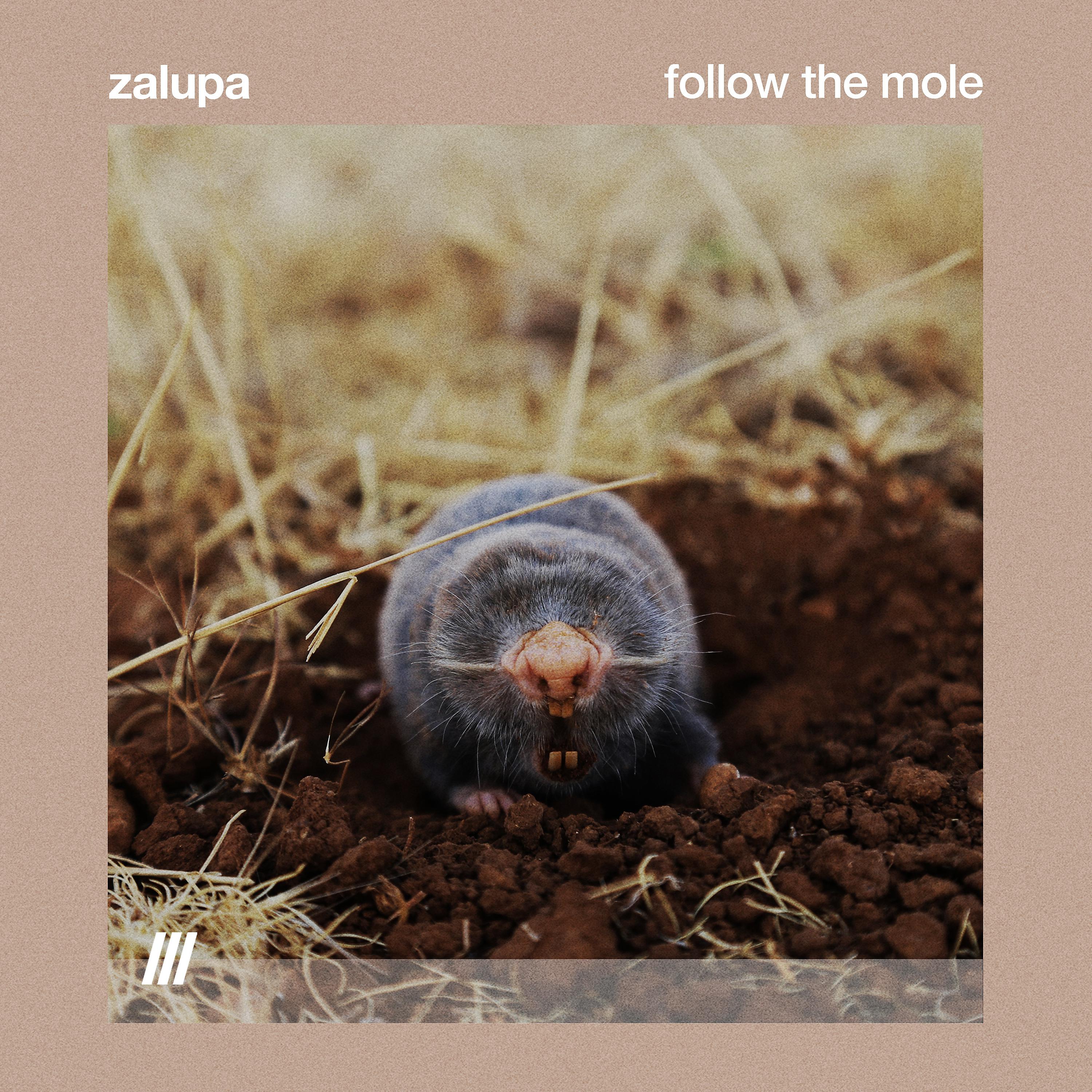 Постер альбома Follow The Mole