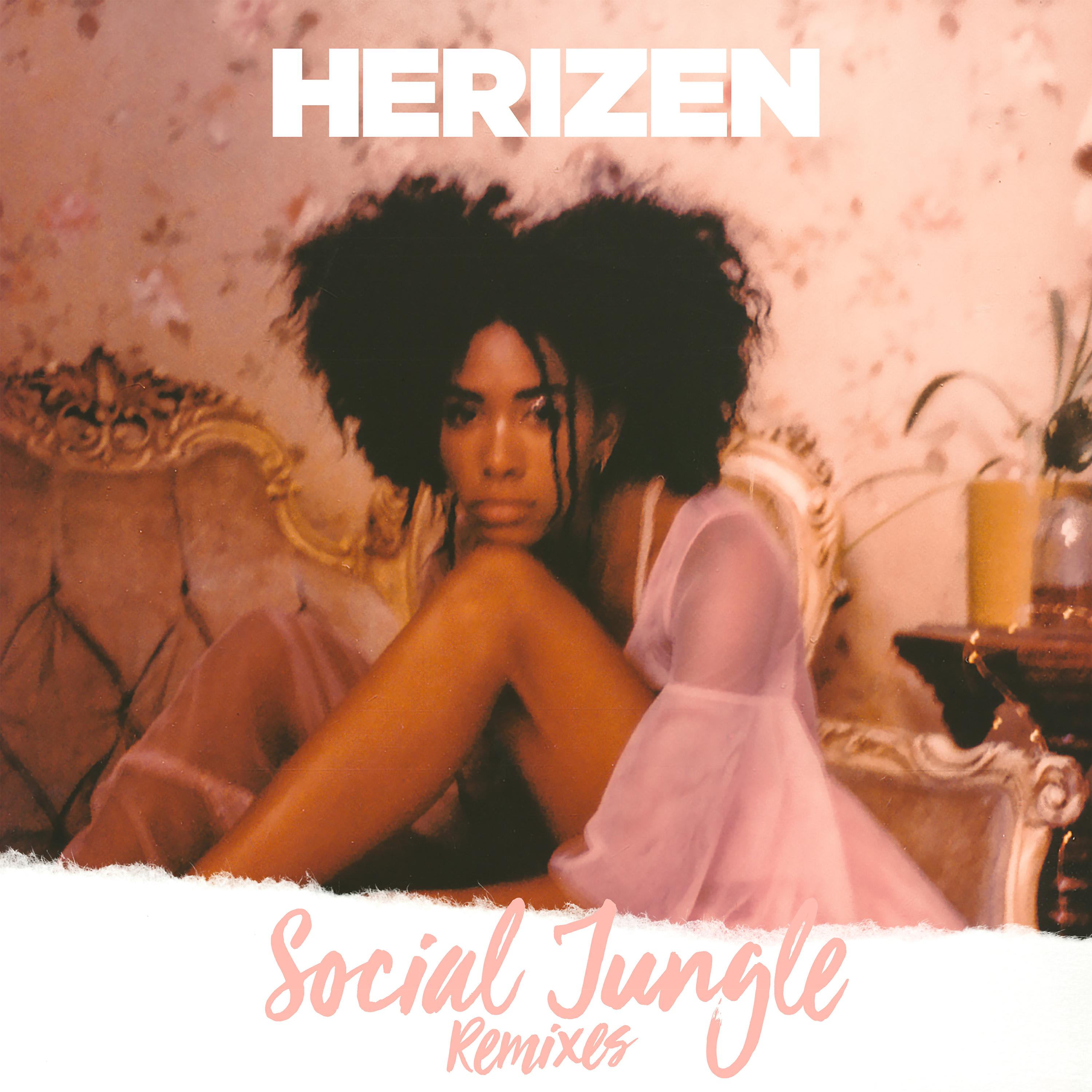 Постер альбома Social Jungle (Remixes)