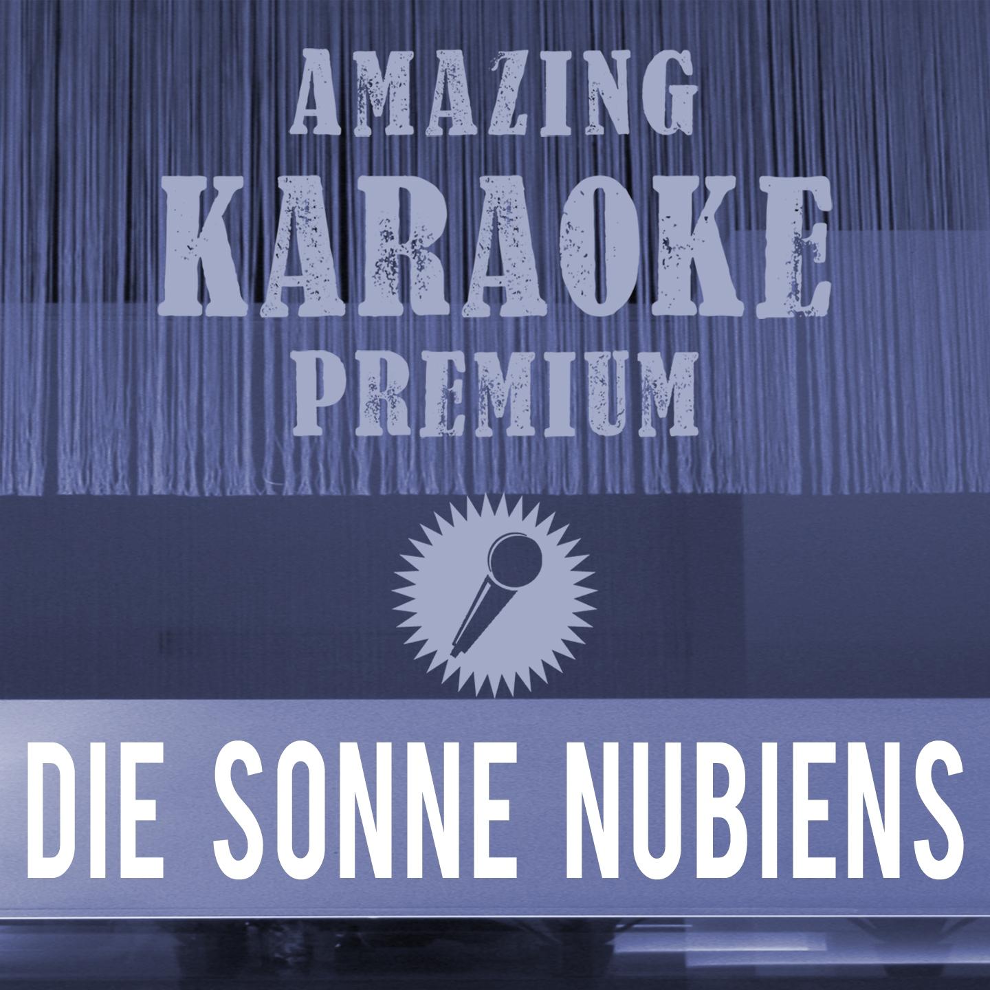 Постер альбома Die Sonne Nubiens (From the Musical "Aida") [Premium Karaoke Version]