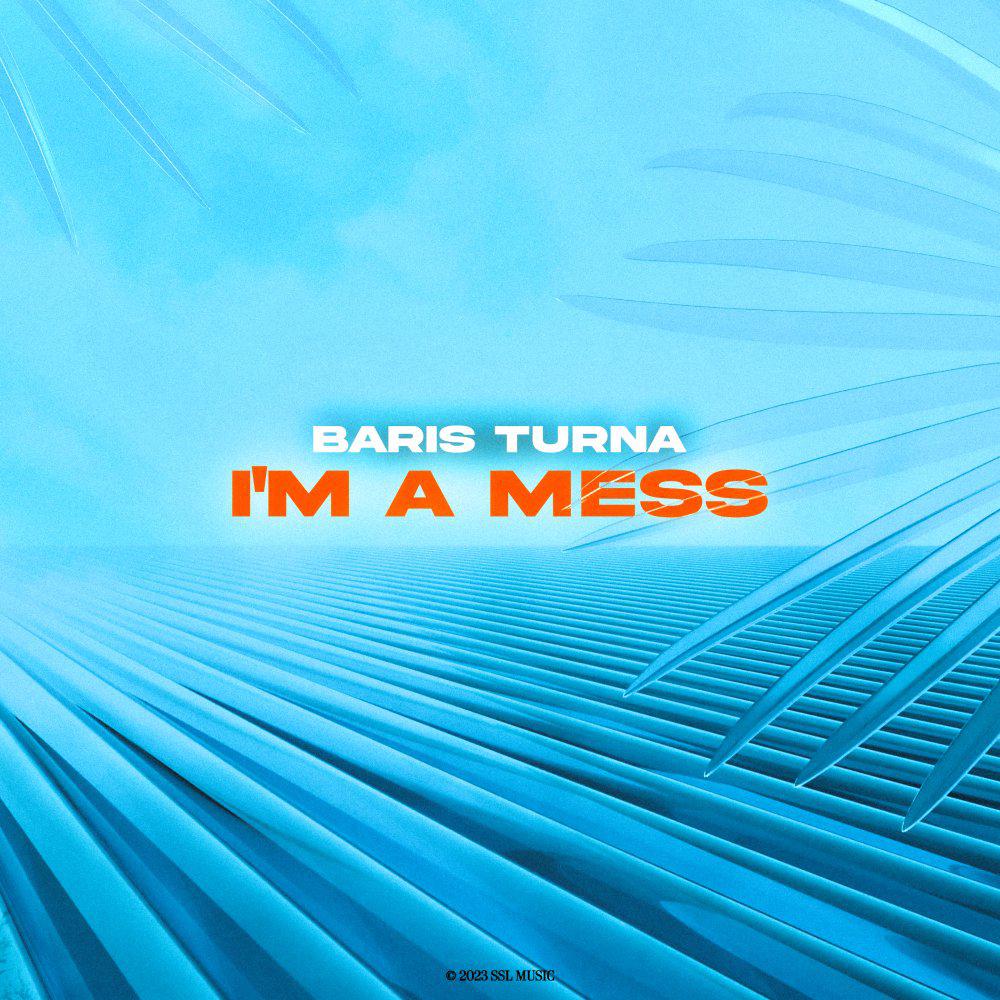 Постер альбома I'm A Mess